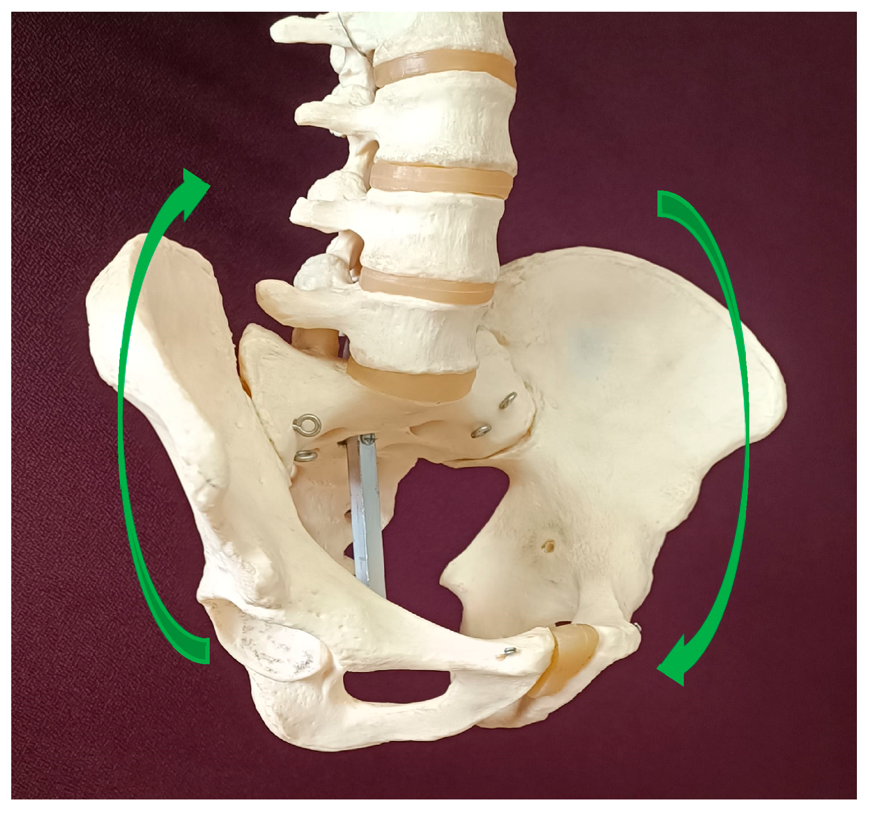Symmetry 16 01304 g002 Symmetry 16 01304 g002