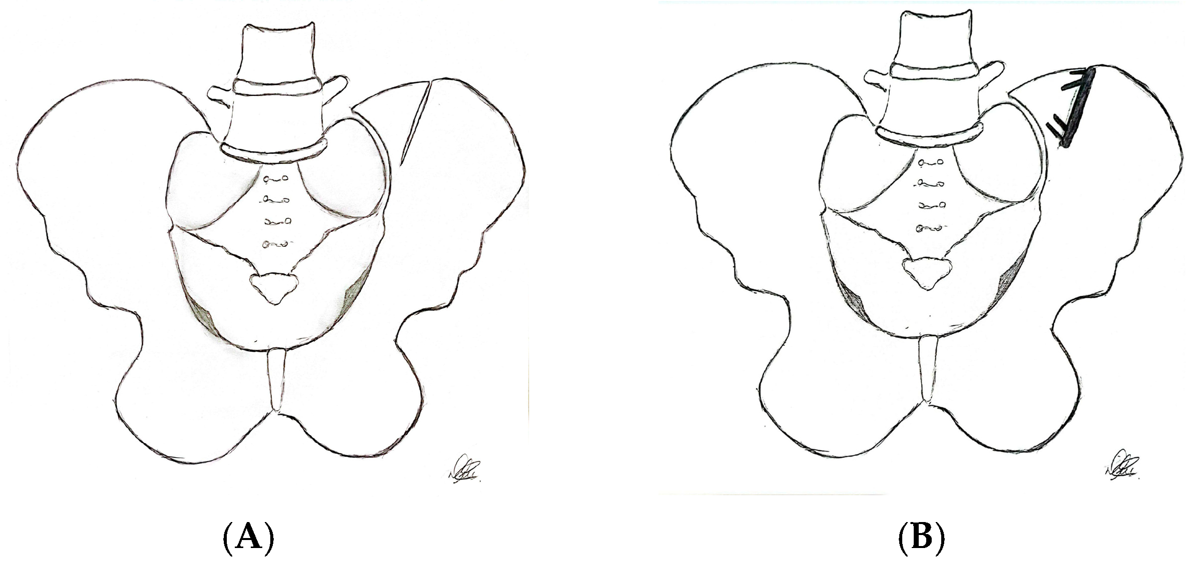 Symmetry 16 01304 g003 Symmetry 16 01304 g003