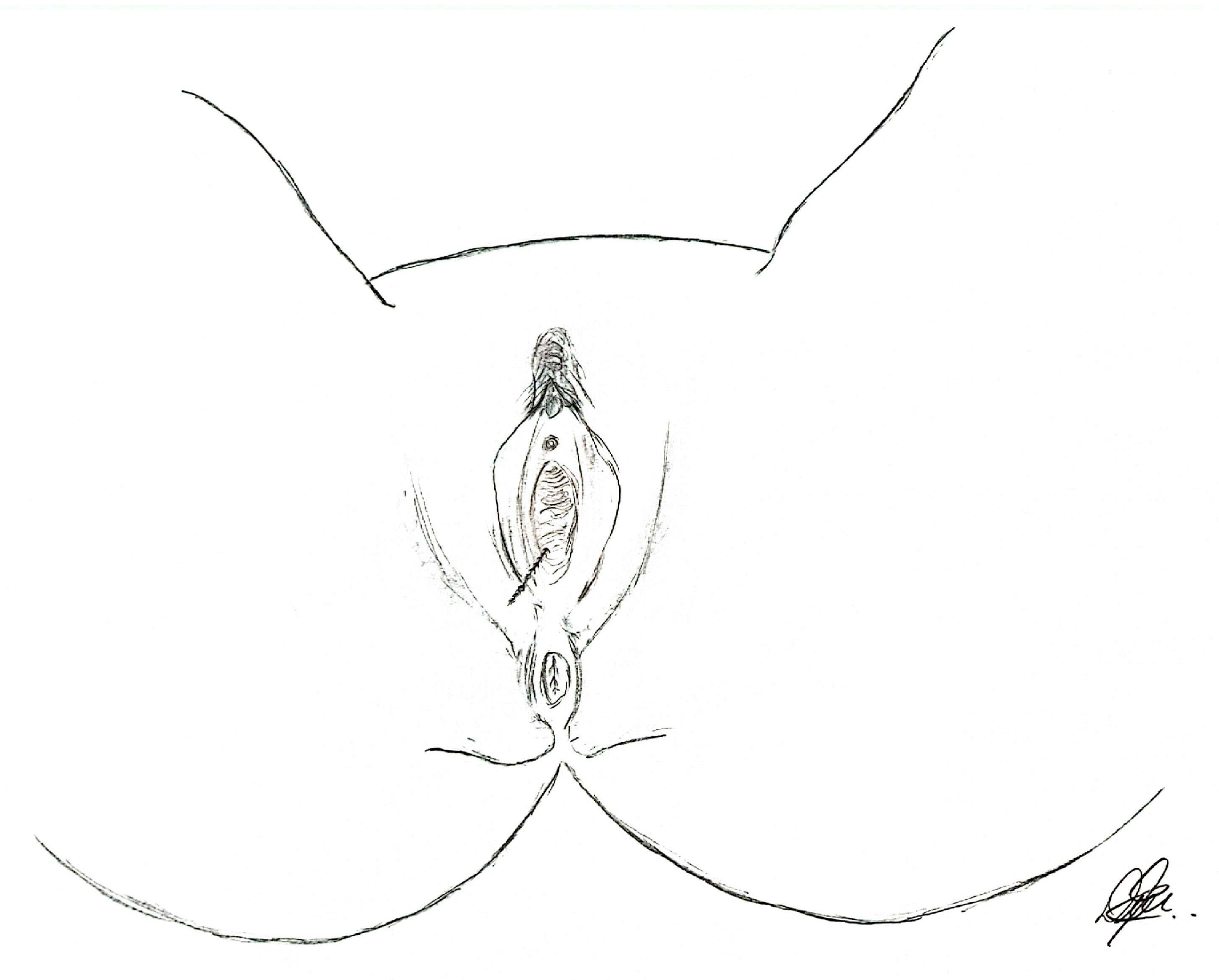 Symmetry 16 01304 g004 Symmetry 16 01304 g004