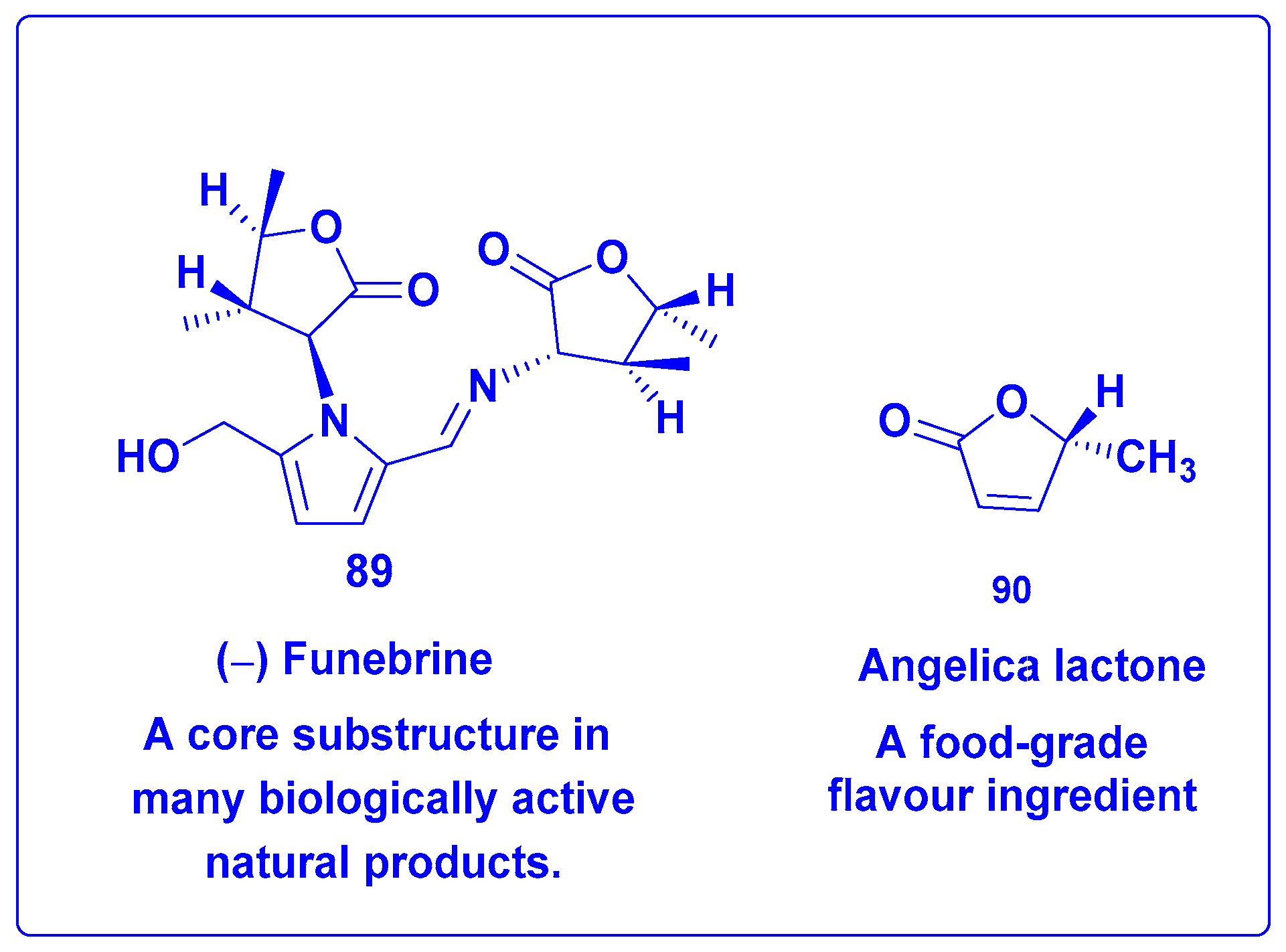 Symmetry 16 01331 g005