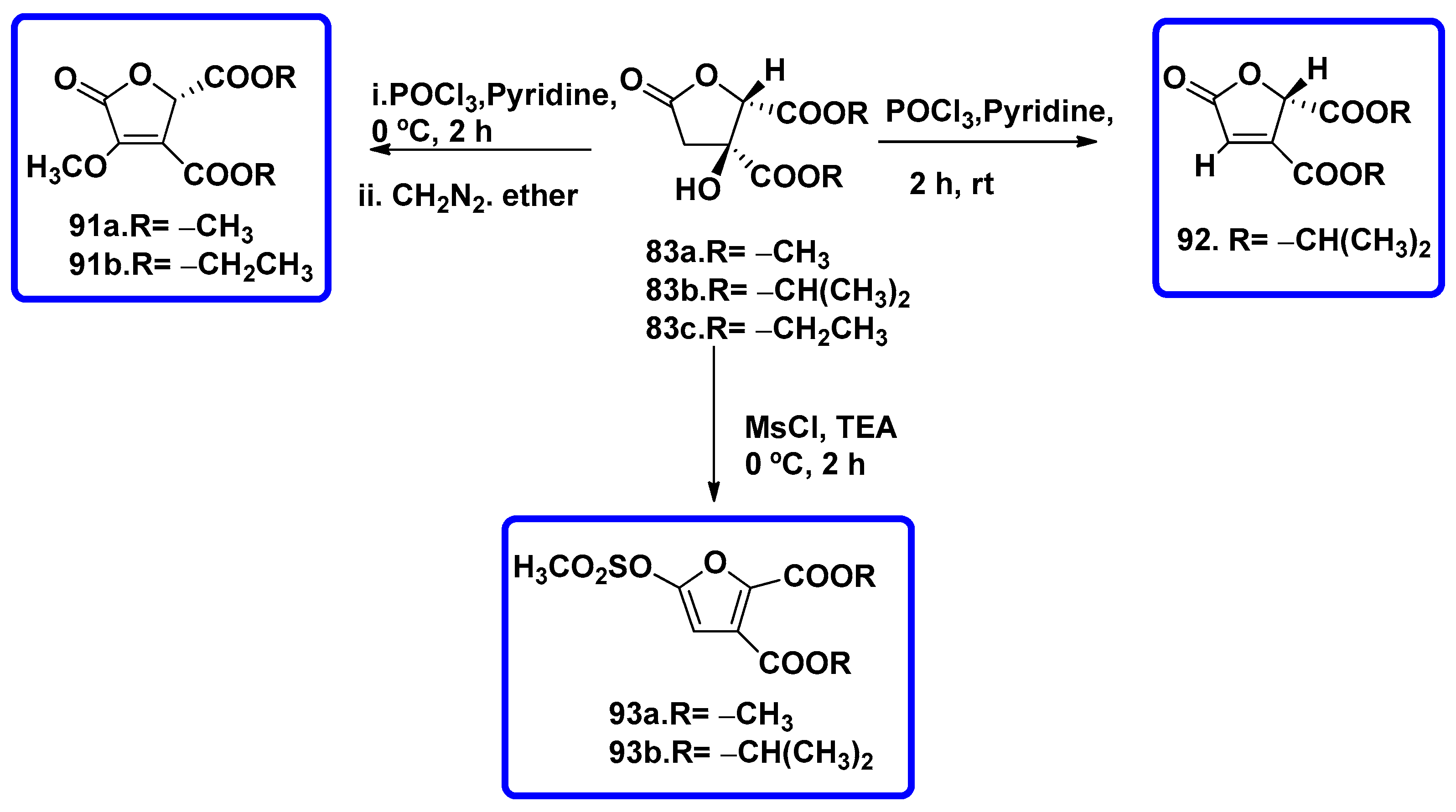 Symmetry 16 01331 sch005