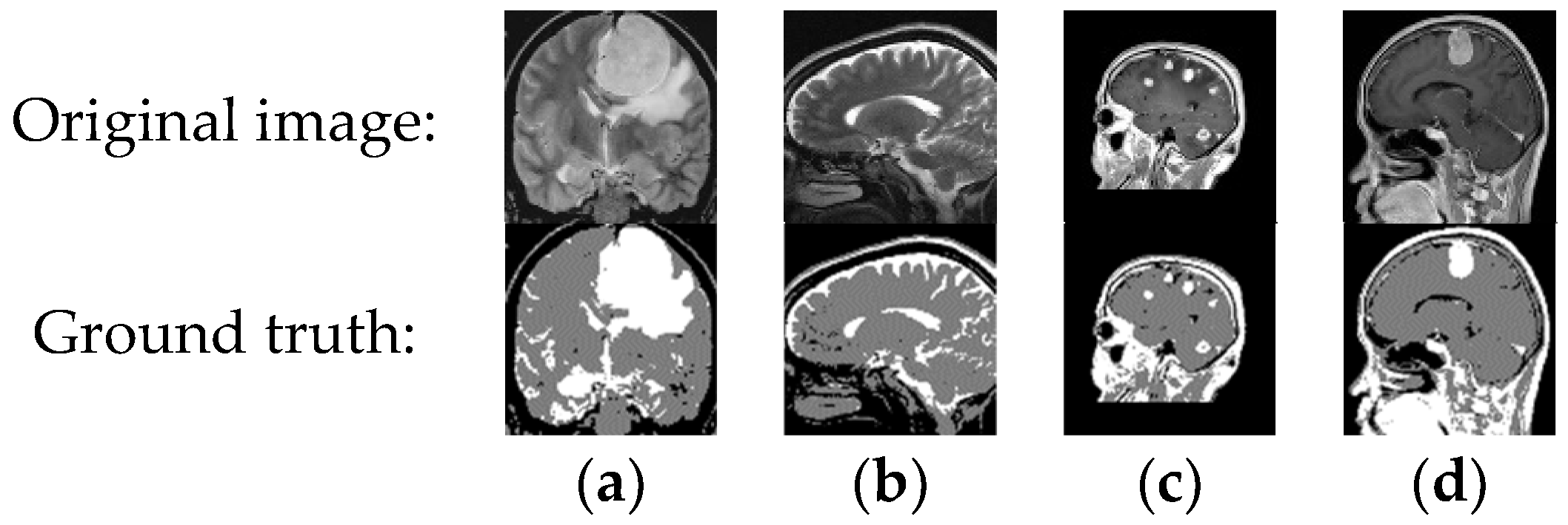 Symmetry 16 01370 g009