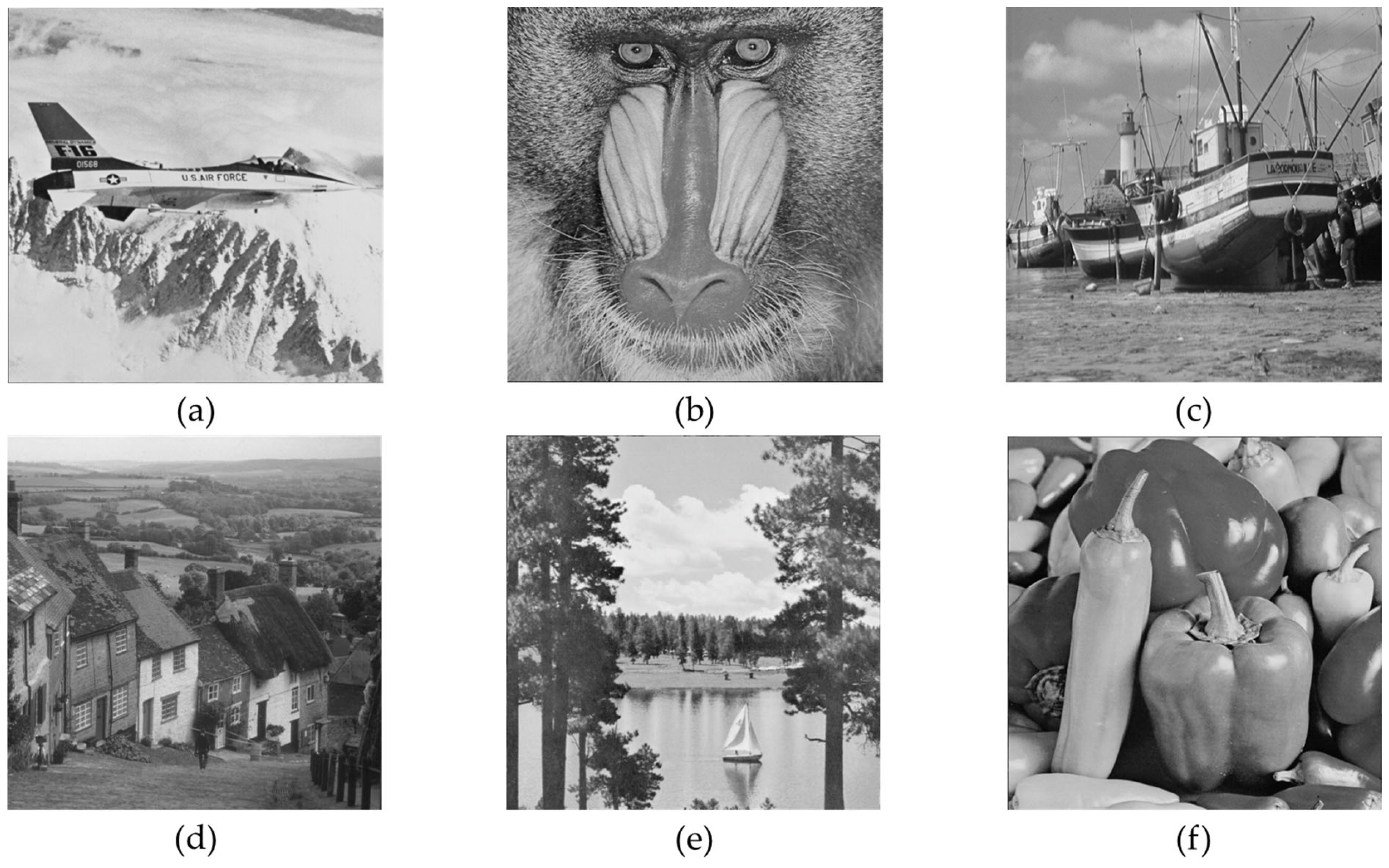 Symmetry 16 01419 g010