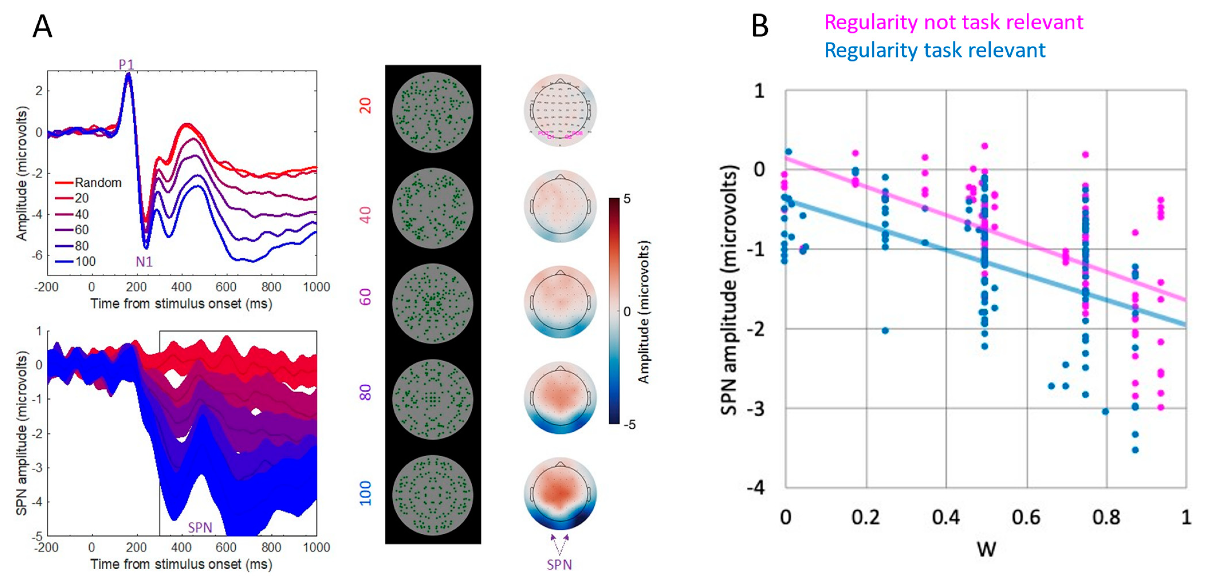 Symmetry 16 01486 g001