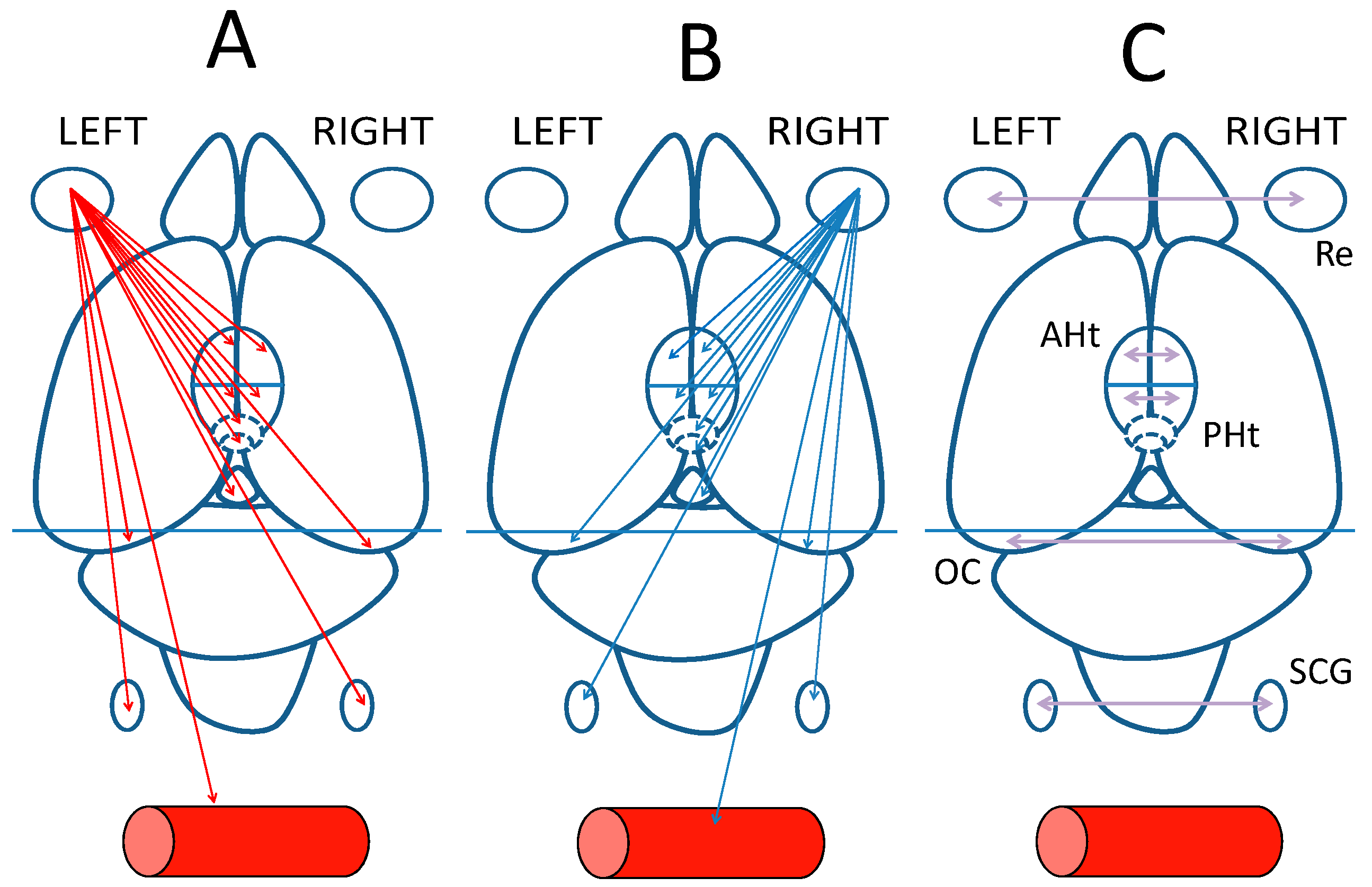 Symmetry 16 01539 g002