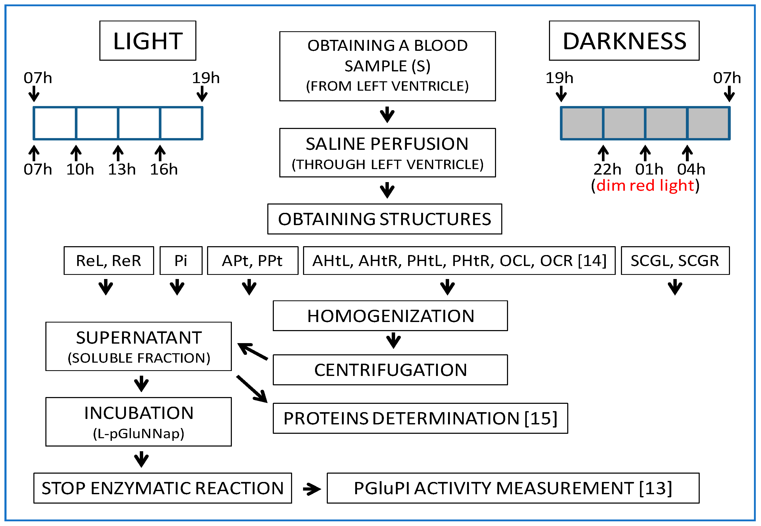 Symmetry 16 01539 g003