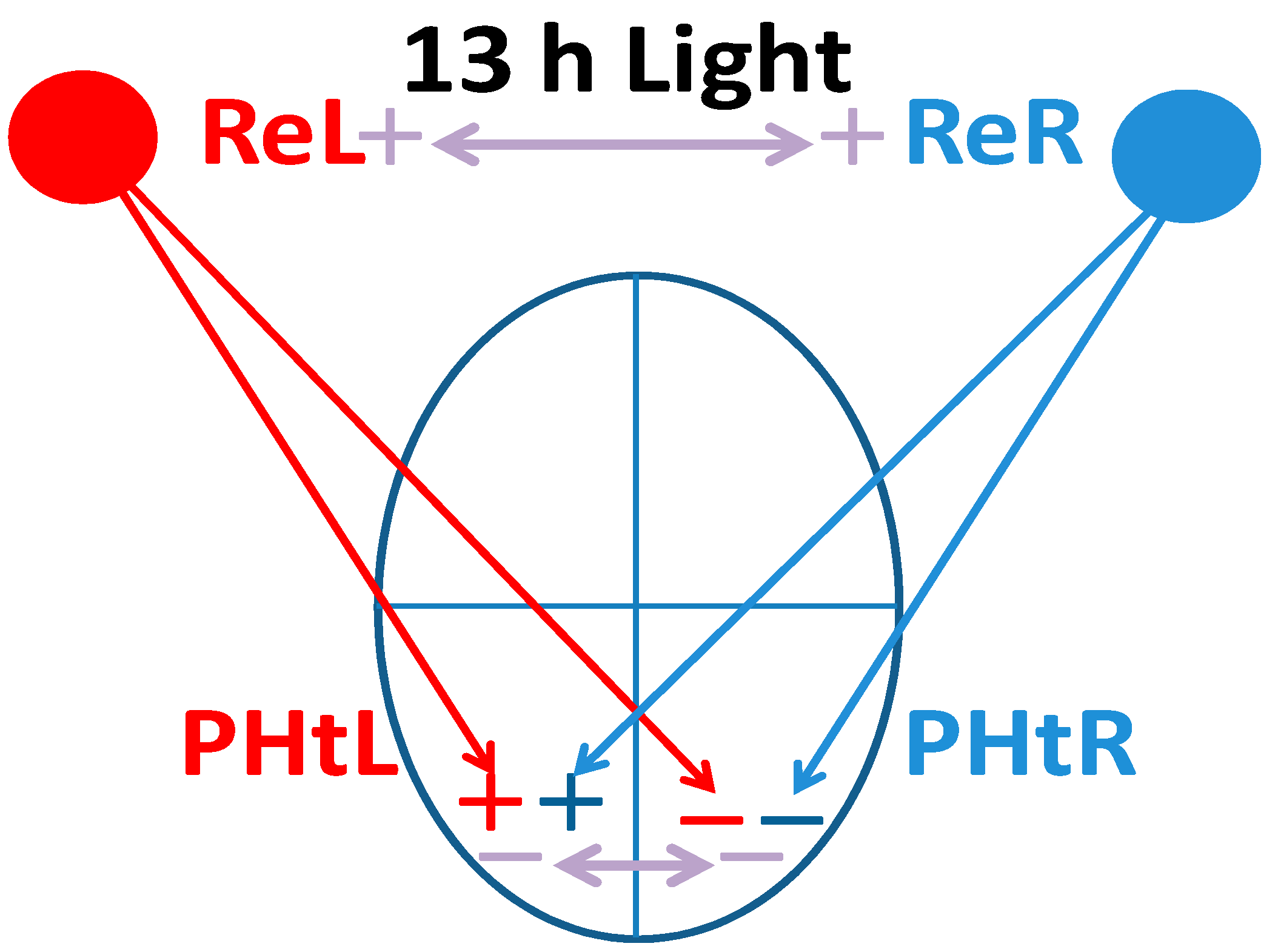 Symmetry 16 01539 g010