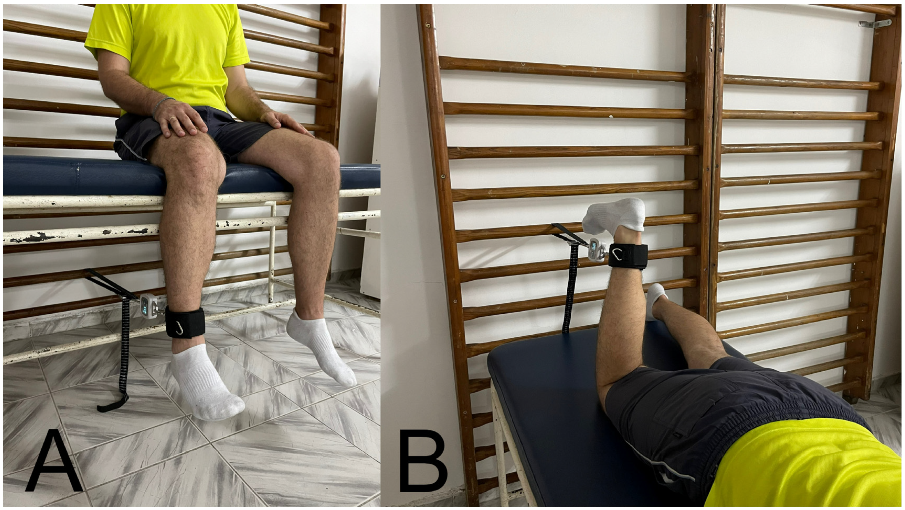 Symmetry 16 01541 g001