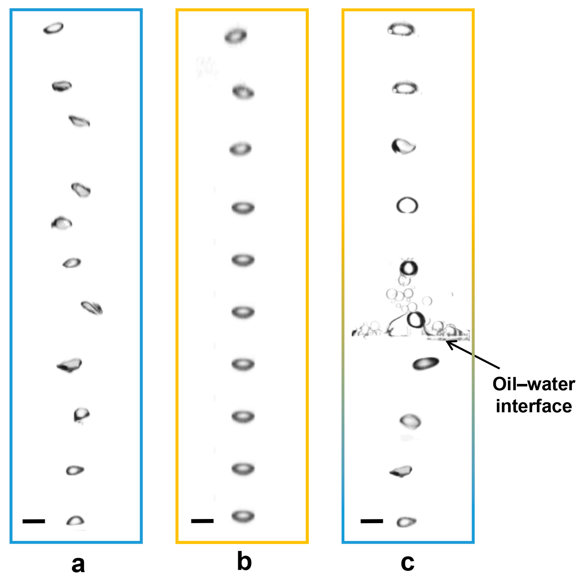 Symmetry 16 01564 g005