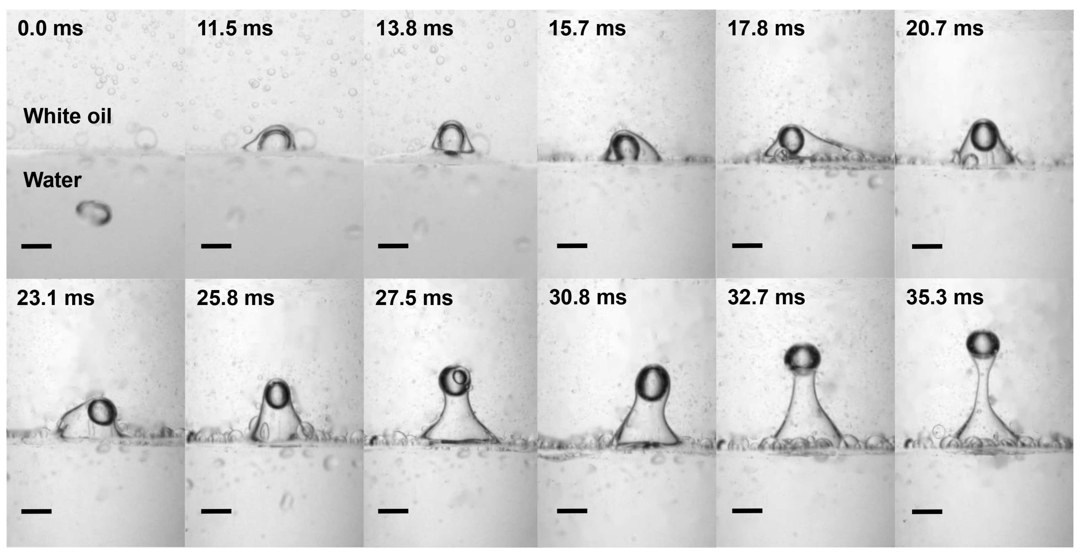 Symmetry 16 01564 g008