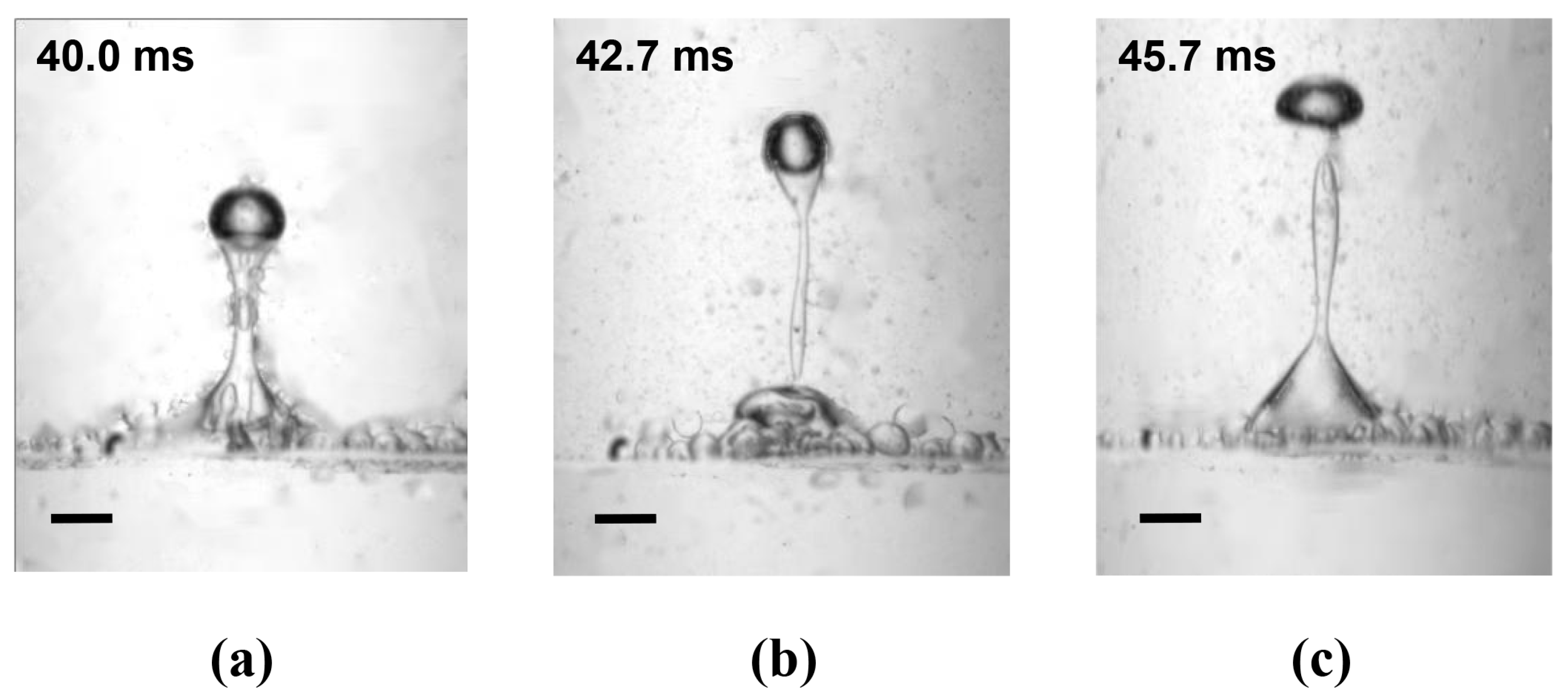 Symmetry 16 01564 g010