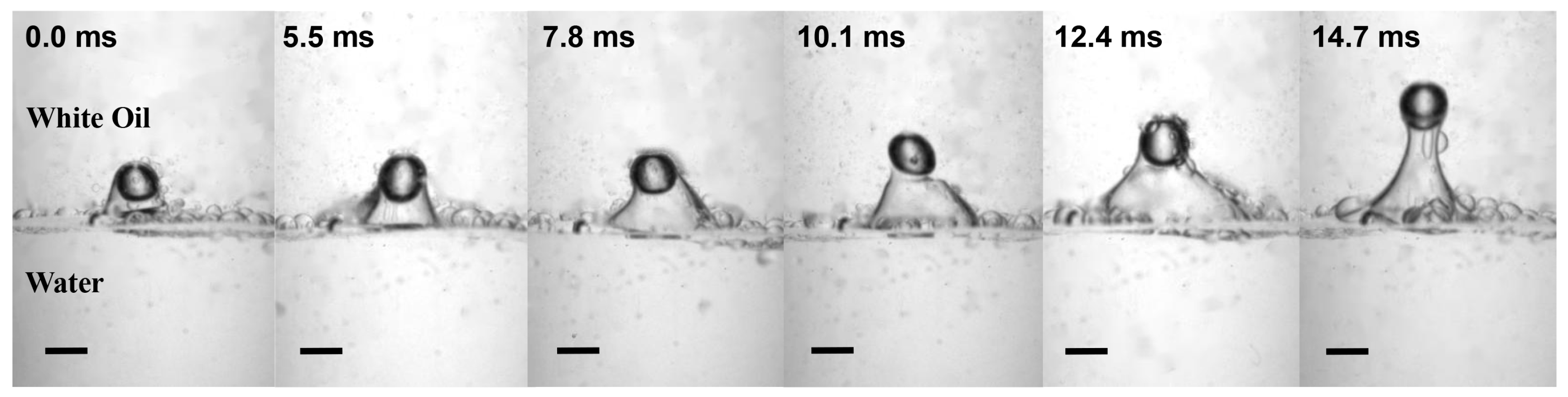 Symmetry 16 01564 g012