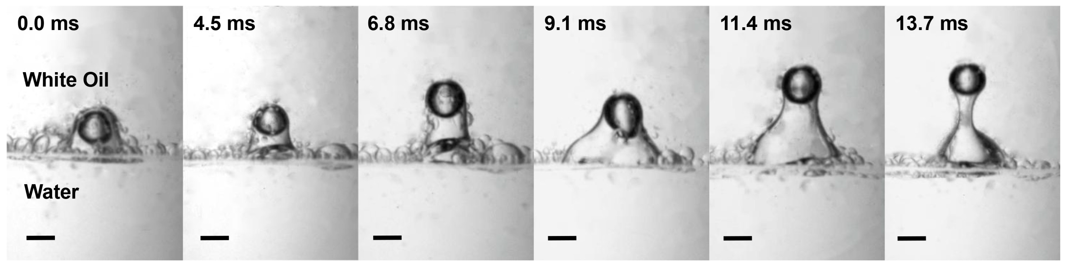 Symmetry 16 01564 g015