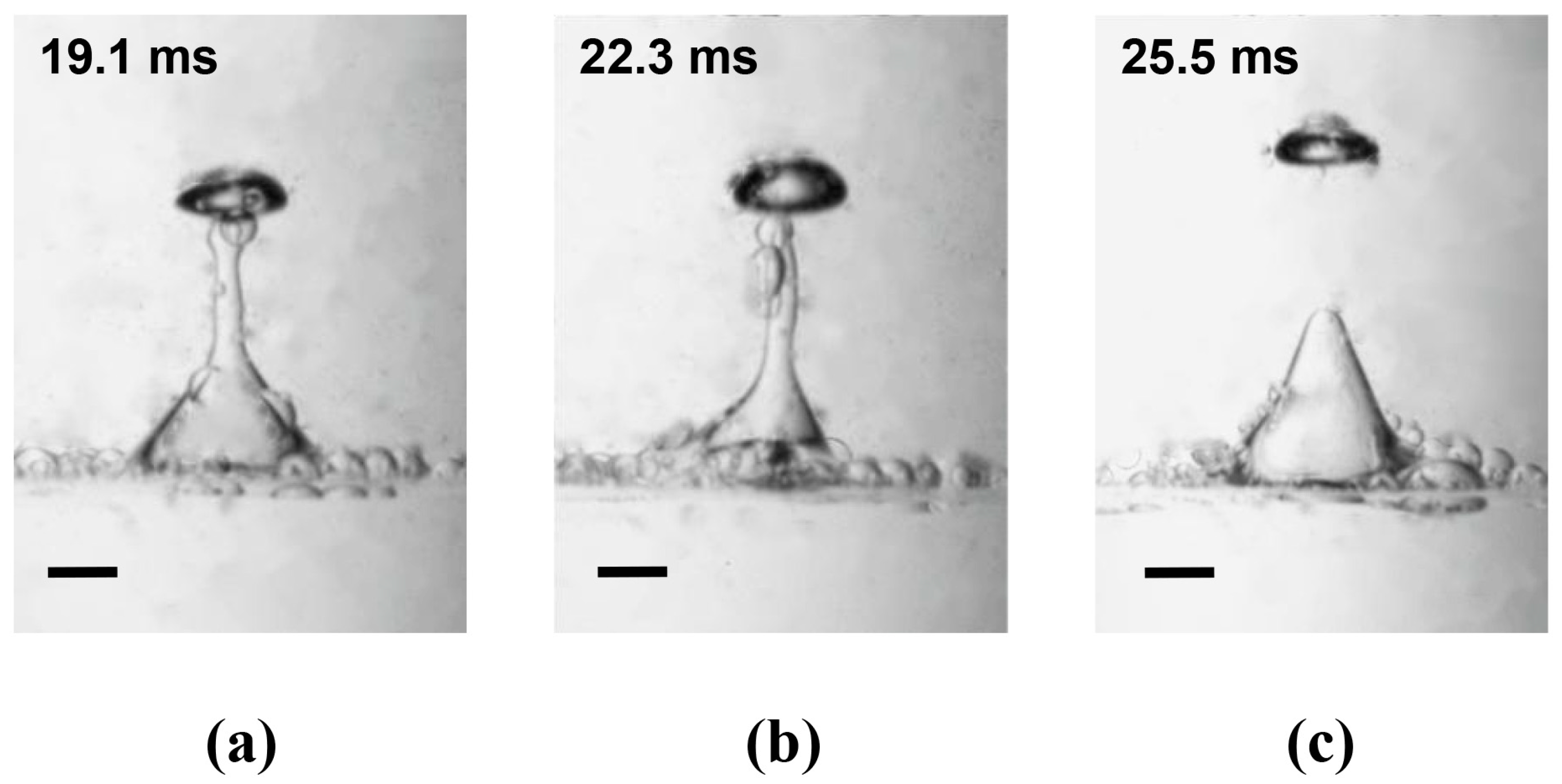 Symmetry 16 01564 g016