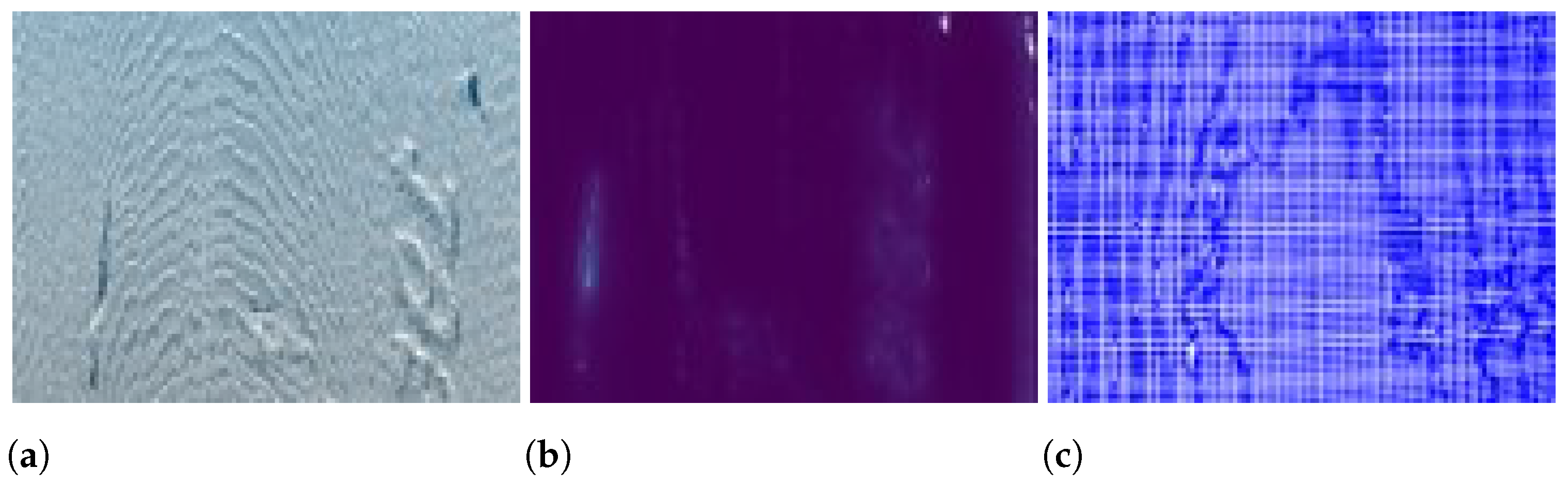 Symmetry 16 01581 g013