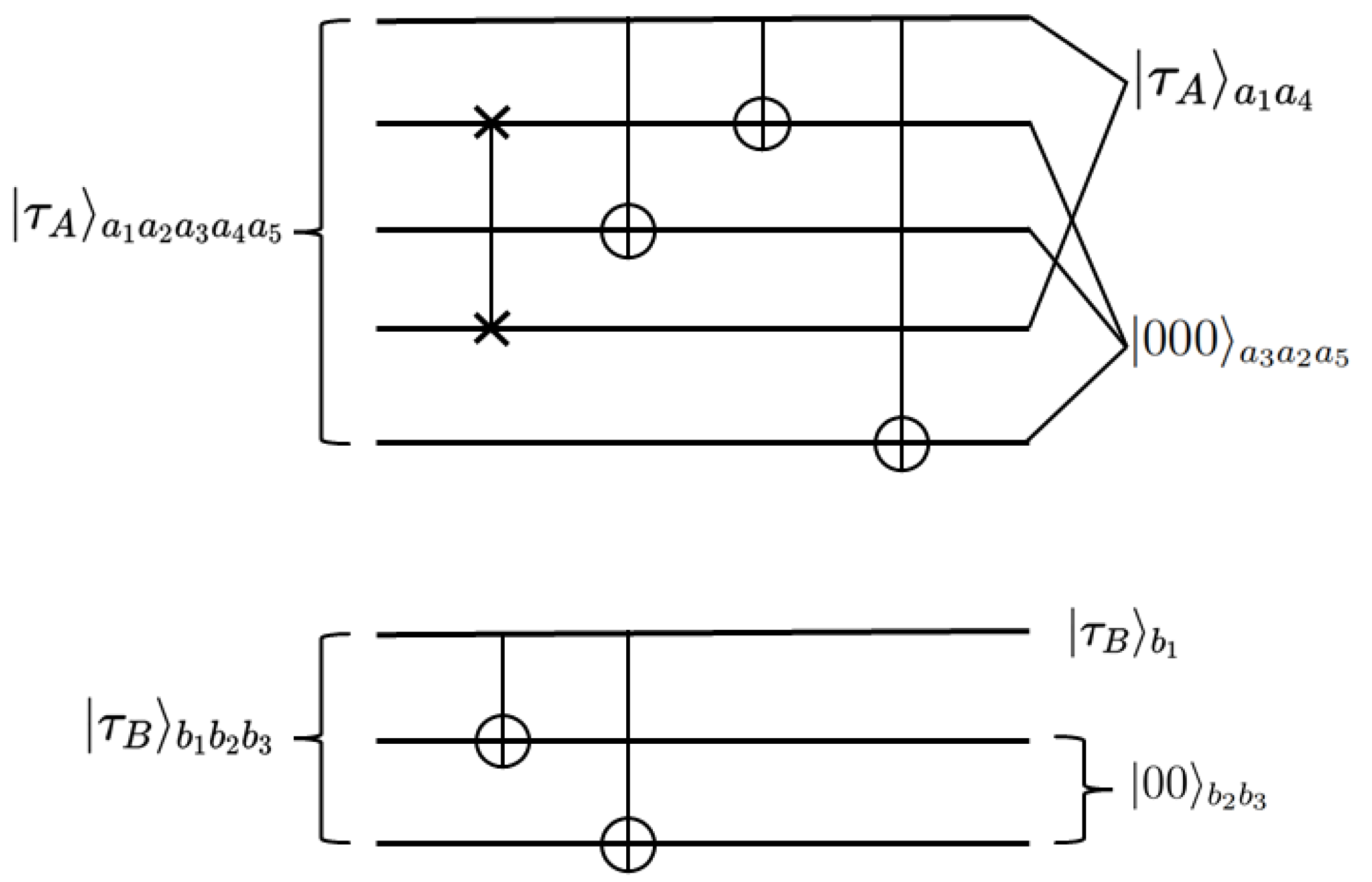 Symmetry 16 01589 g002