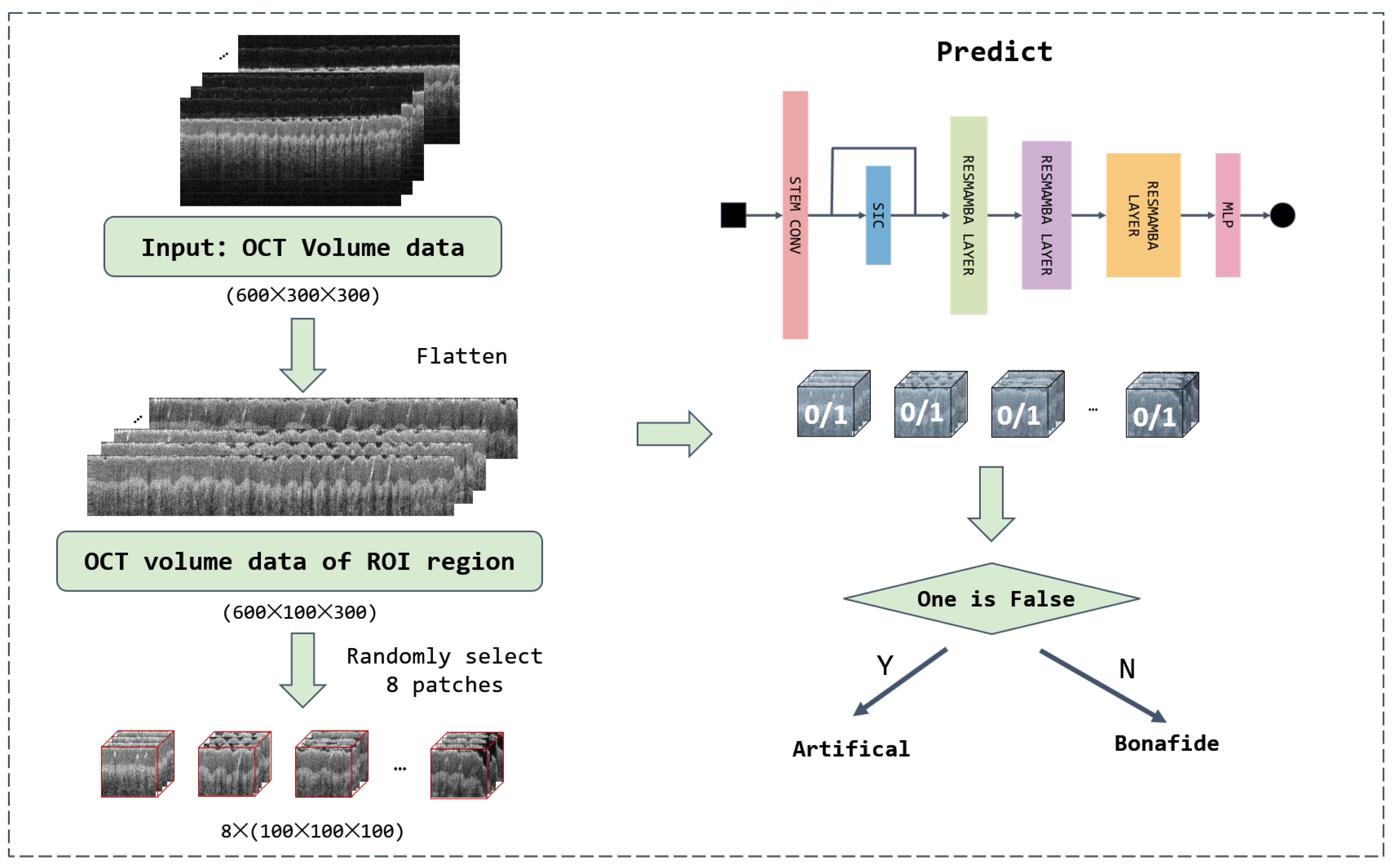 Symmetry 16 01603 g003