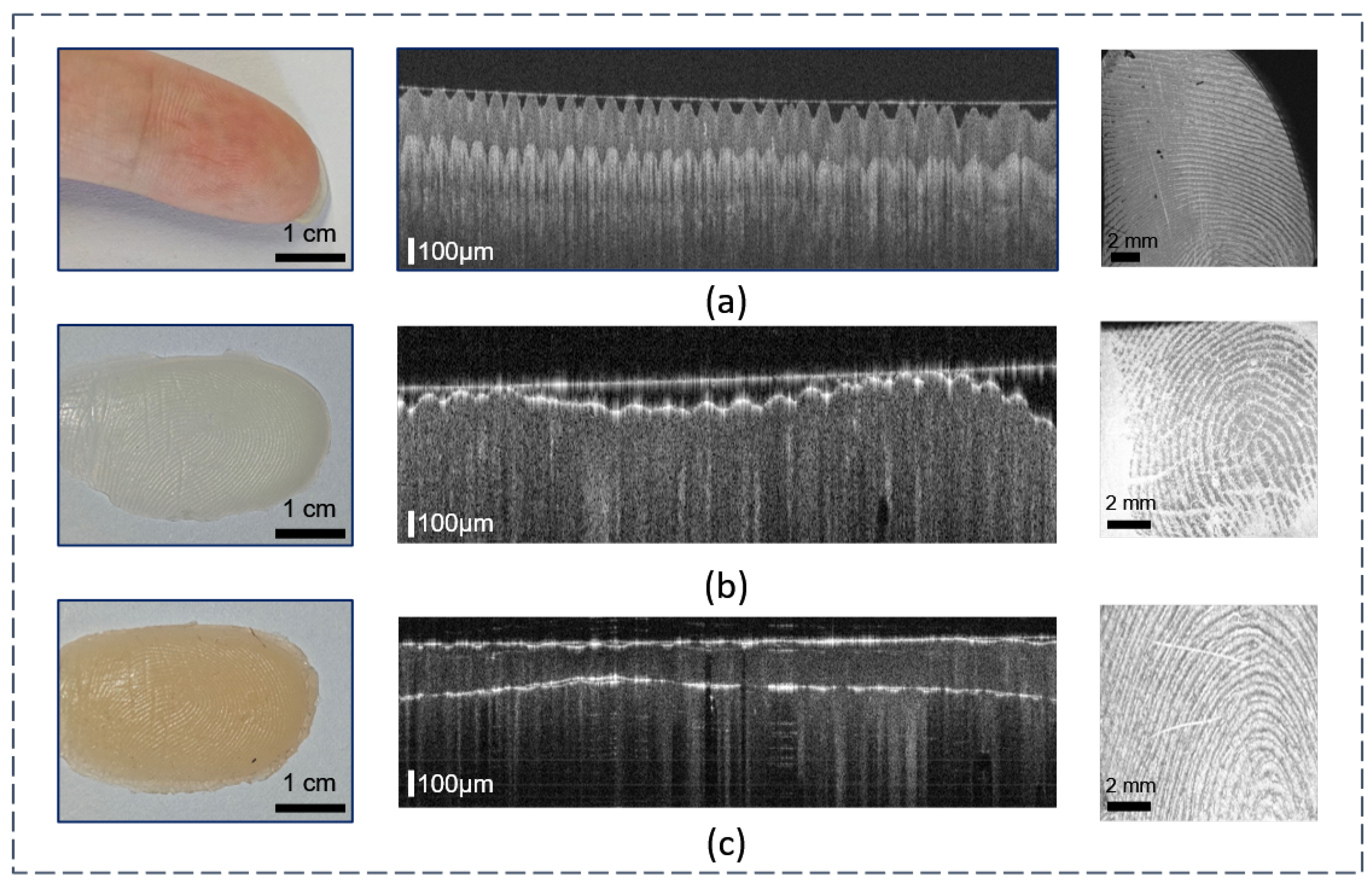 Symmetry 16 01603 g004