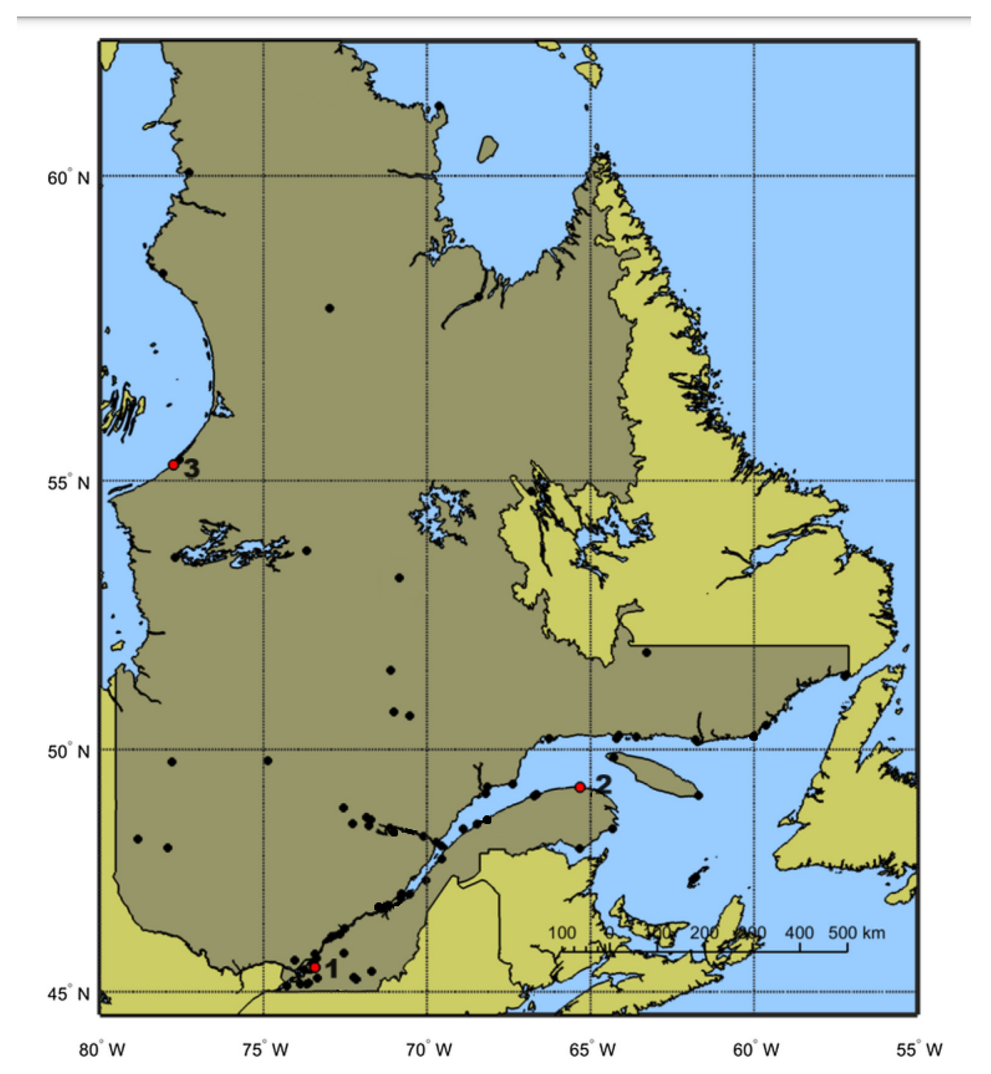 Symmetry 16 01639 g001