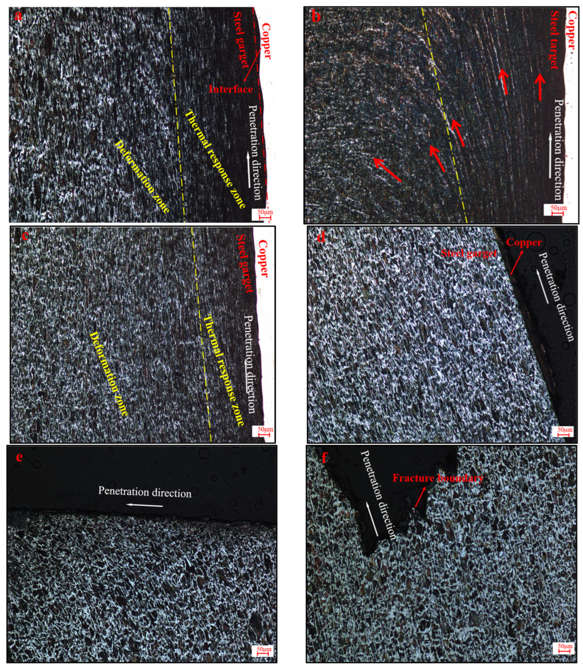 Symmetry 16 01665 g005