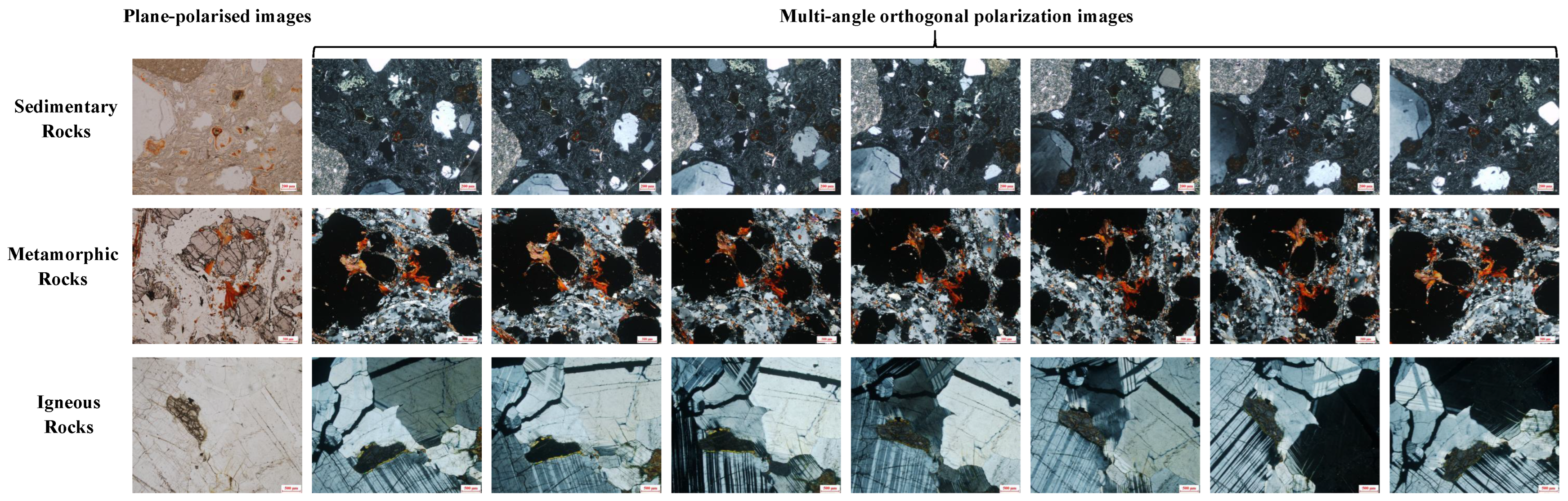 Symmetry 16 01705 g001