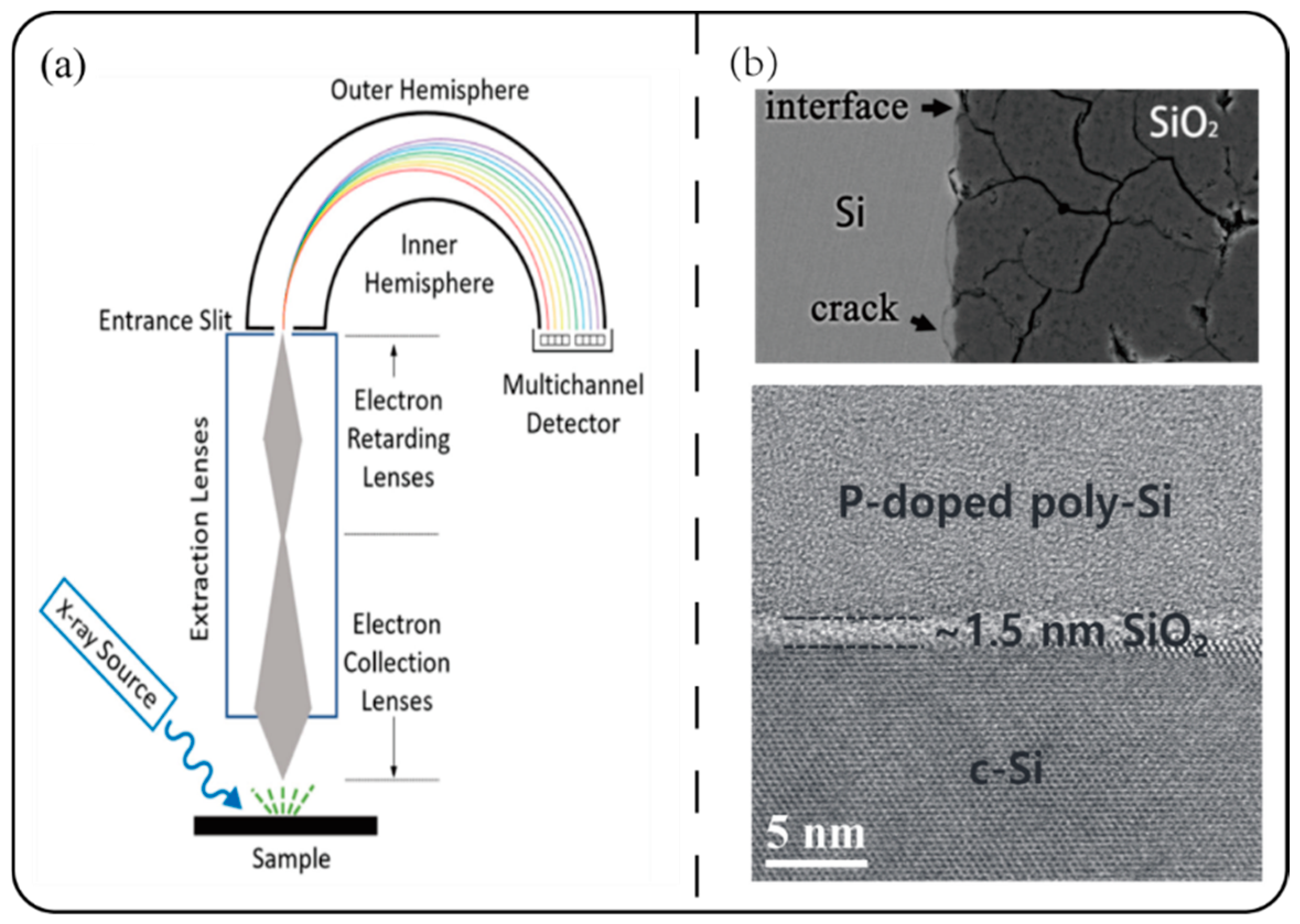Symmetry 17 00046 g002