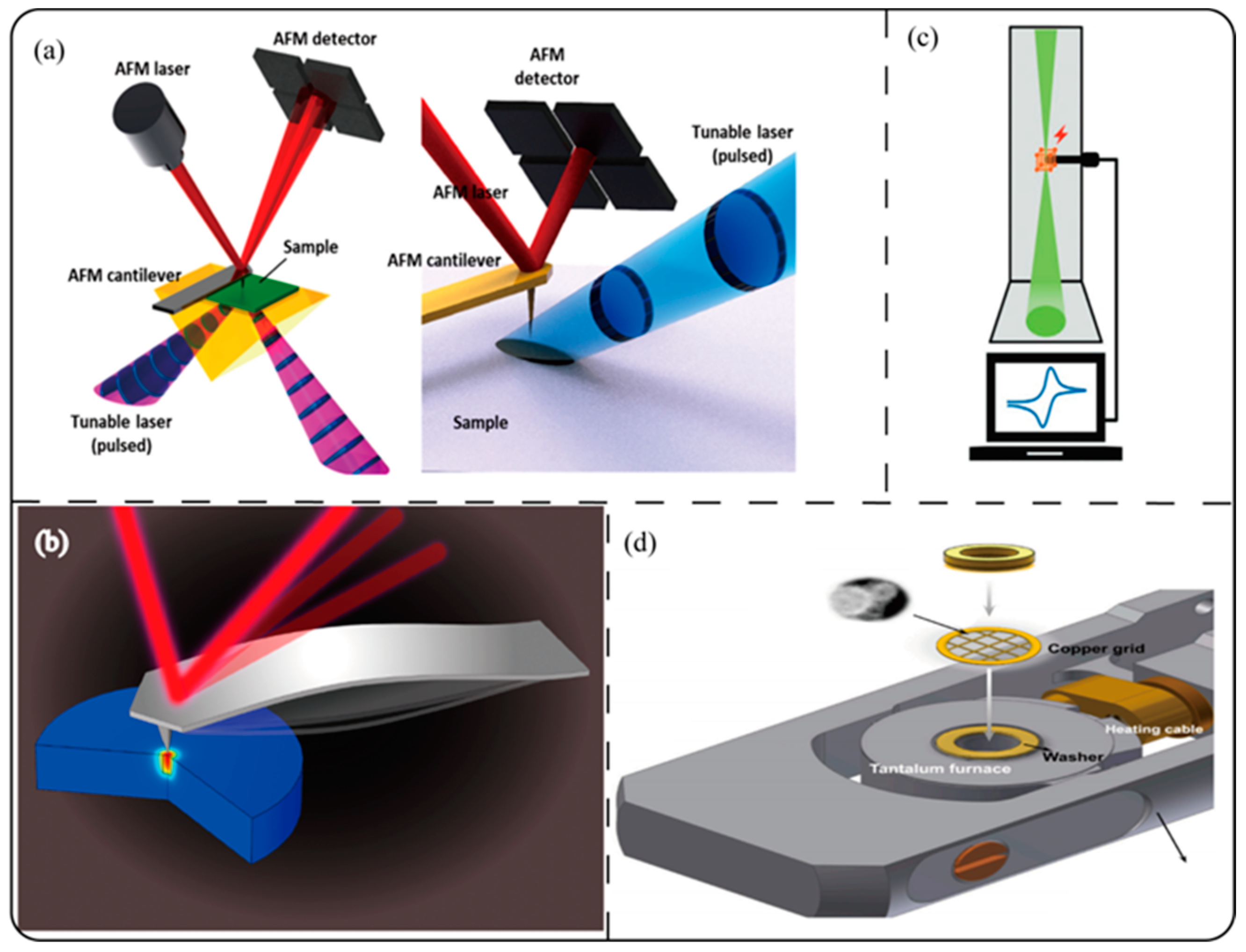 Symmetry 17 00046 g003