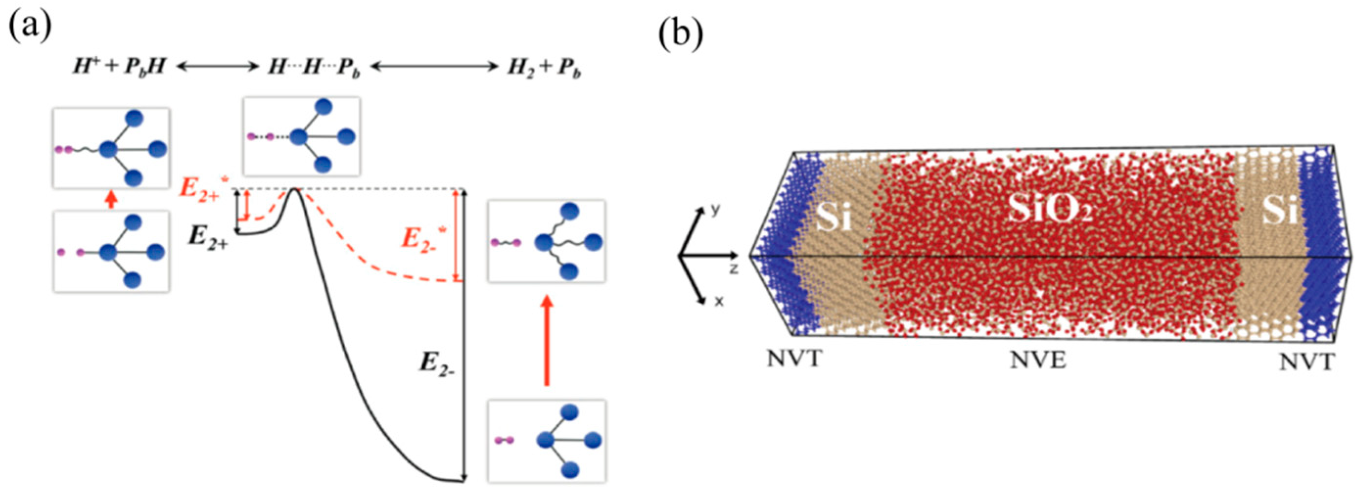 Symmetry 17 00046 g005