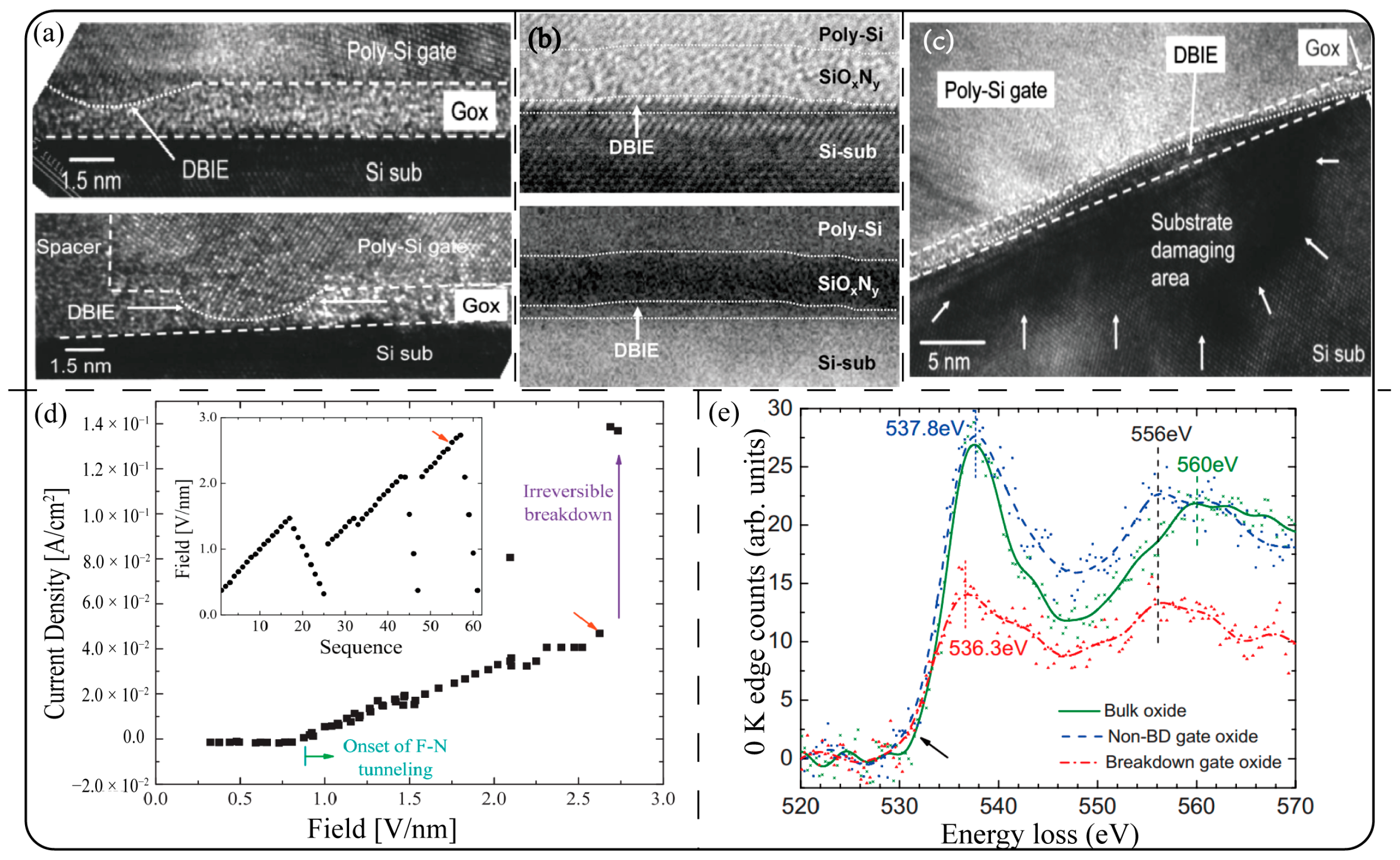Symmetry 17 00046 g012