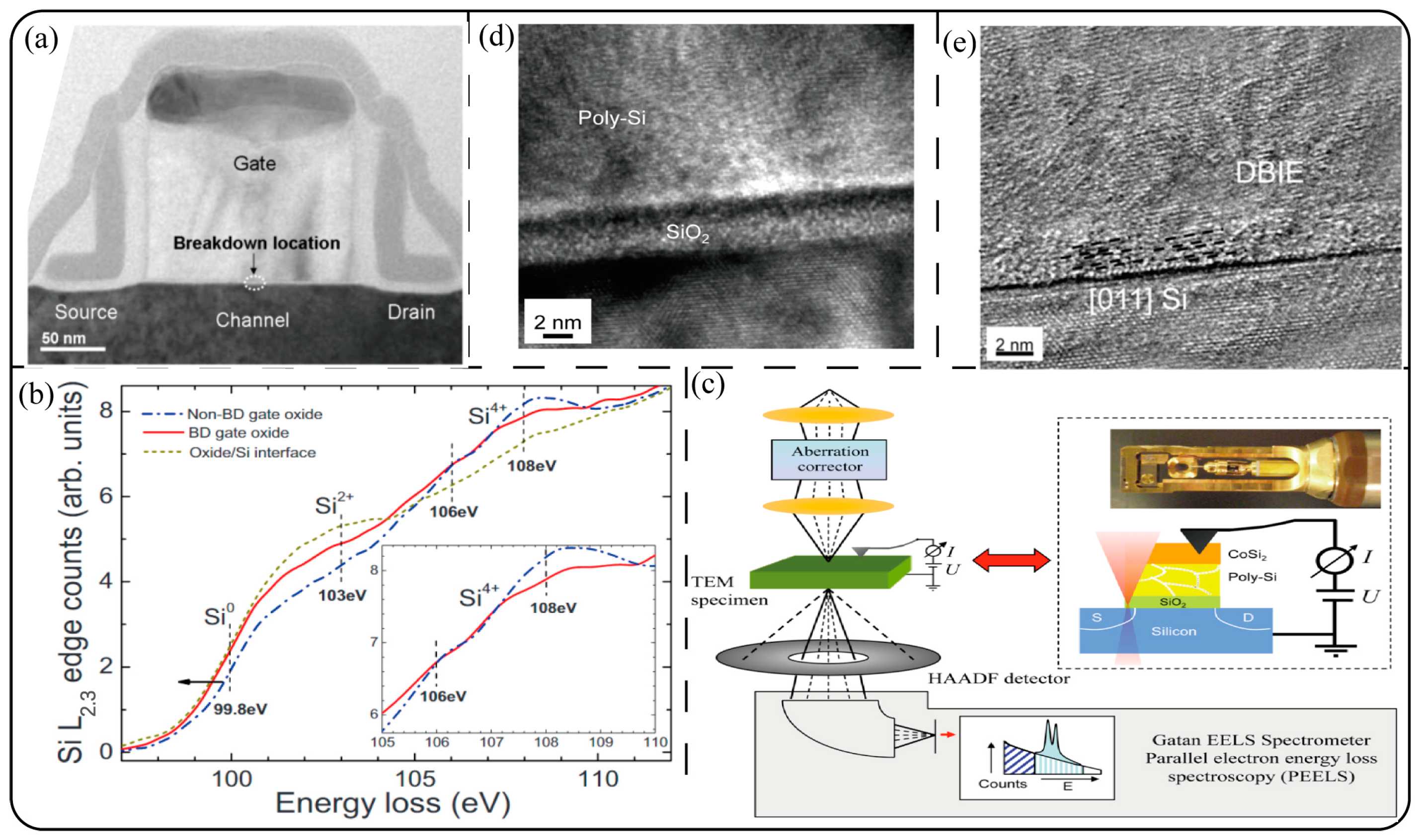 Symmetry 17 00046 g013