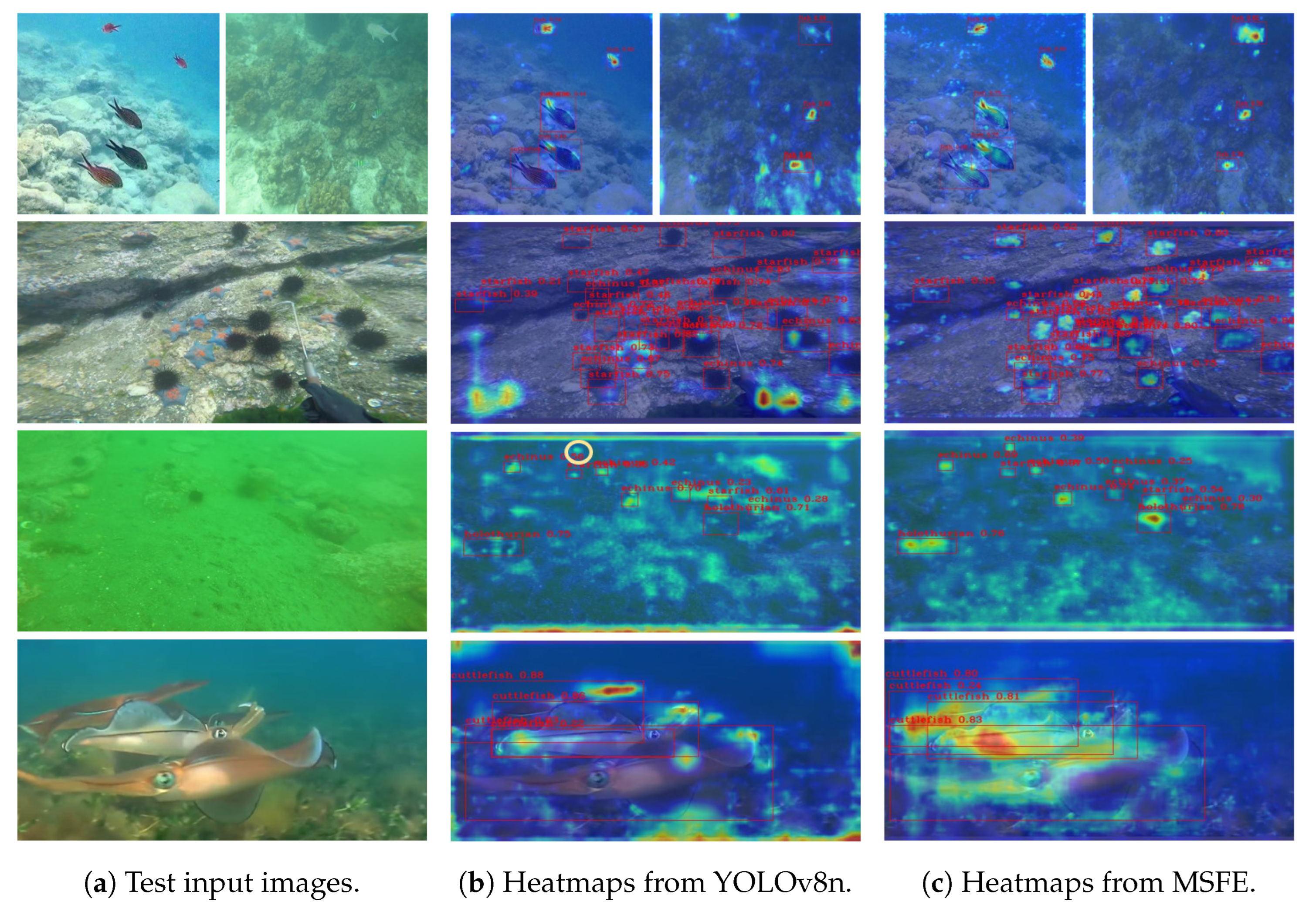Symmetry 17 00063 g005