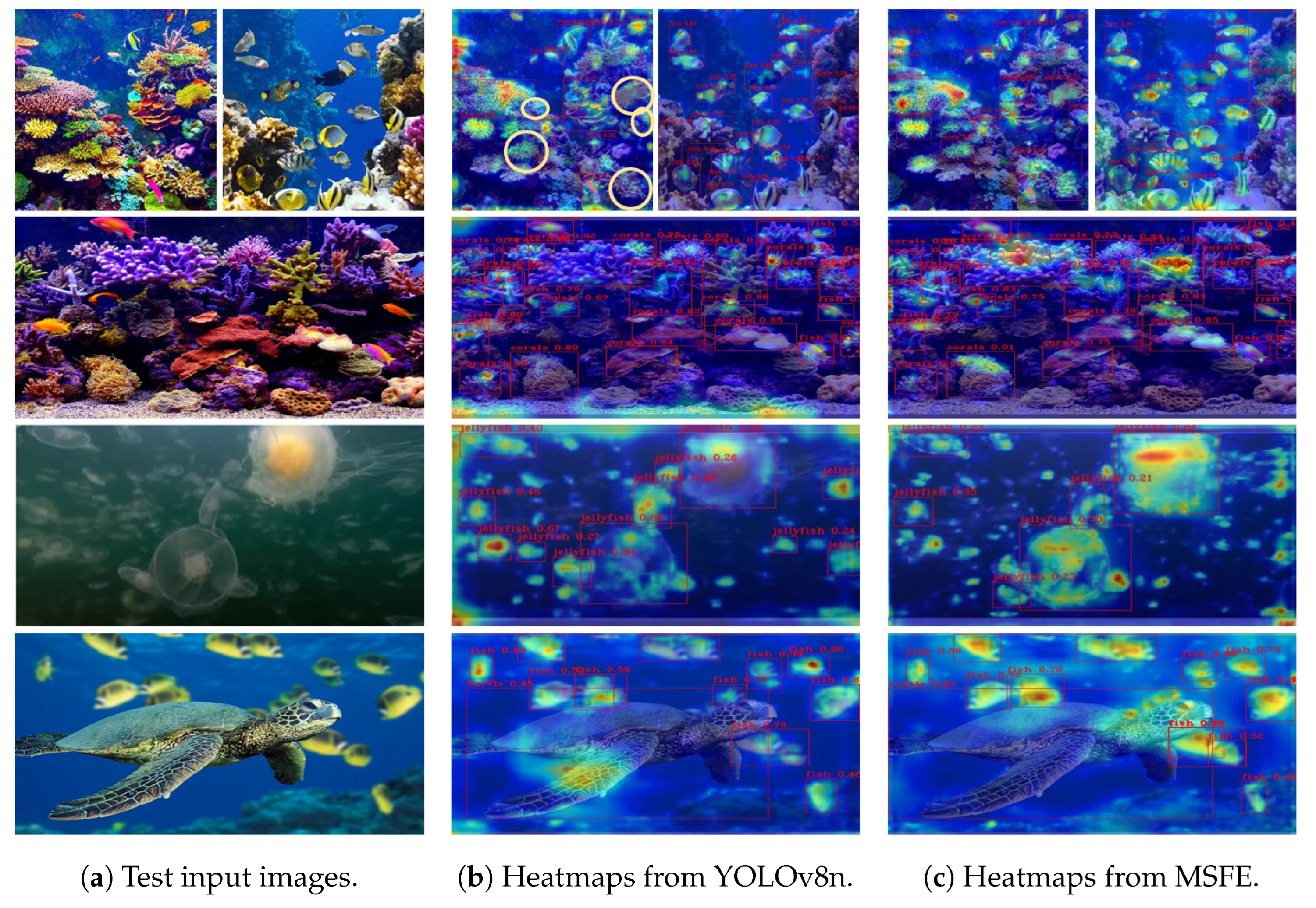 Symmetry 17 00063 g006