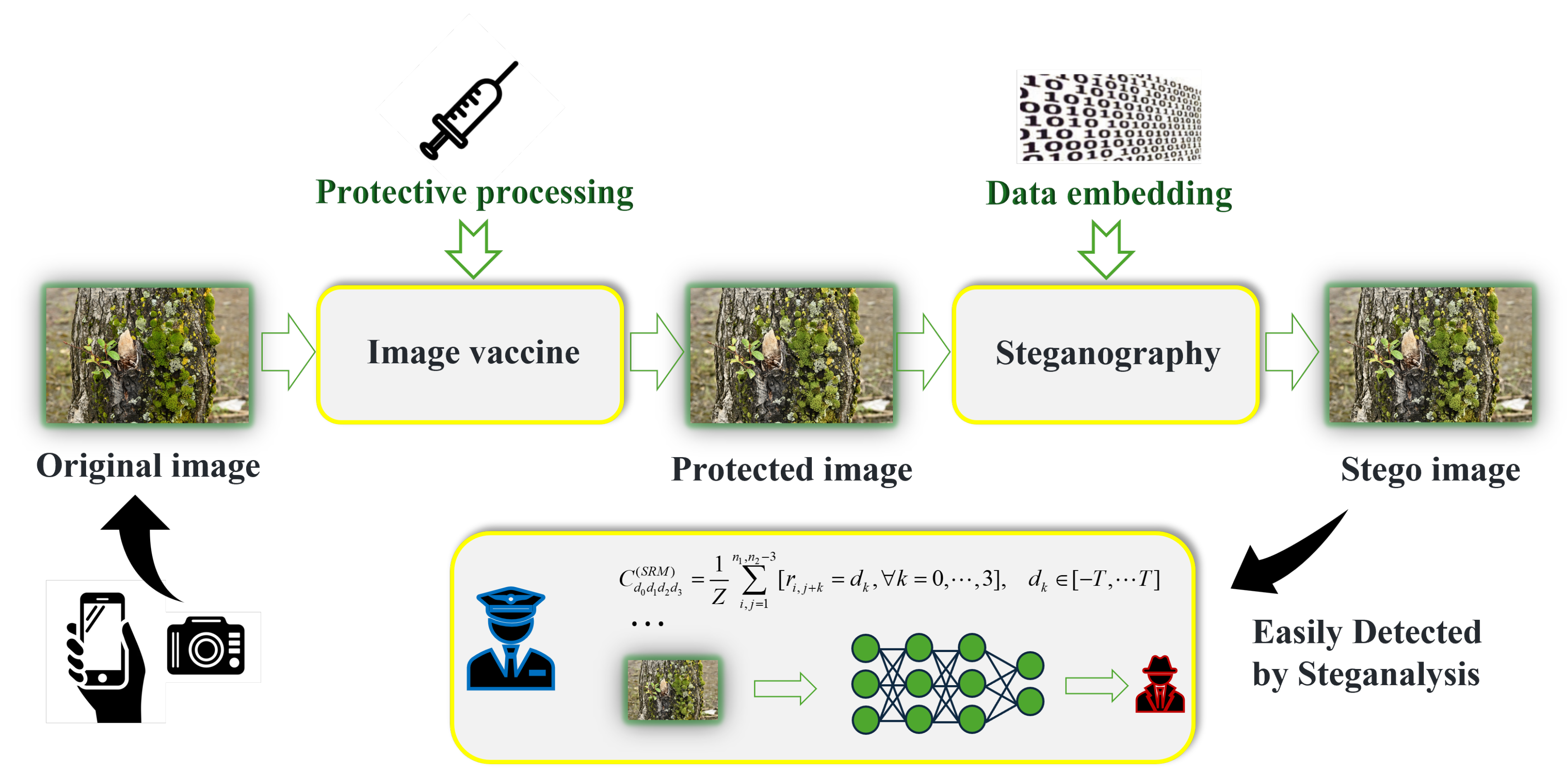 Symmetry 17 00066 g001