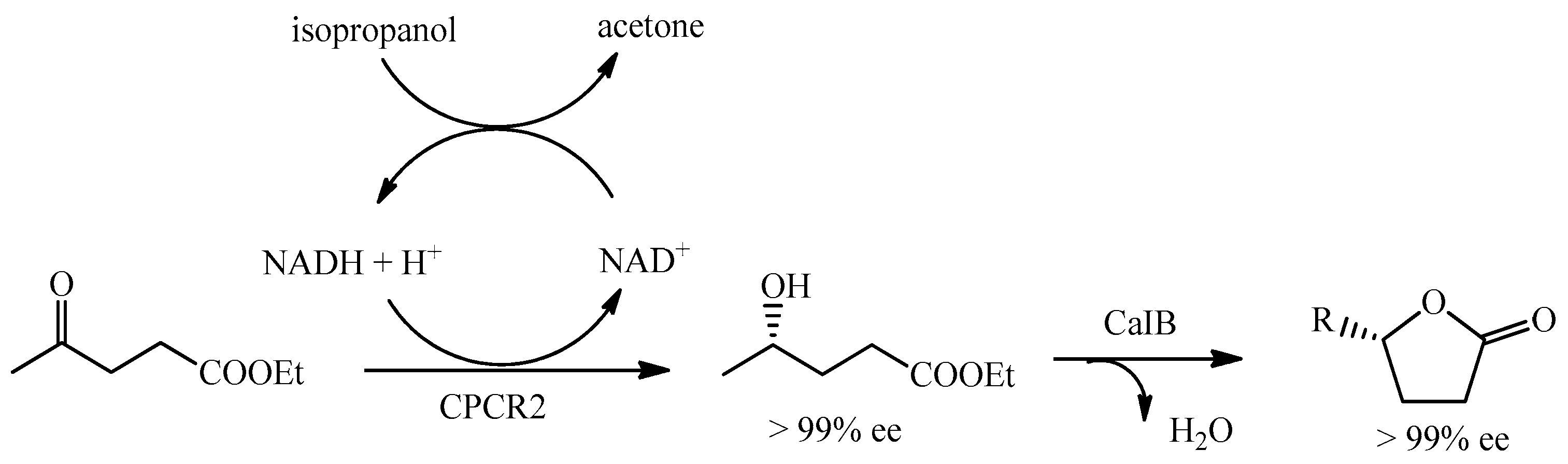 Symmetry 17 00082 sch014