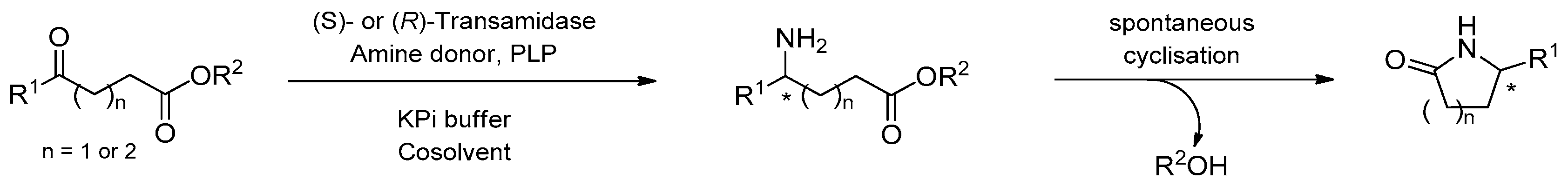 Symmetry 17 00082 sch015
