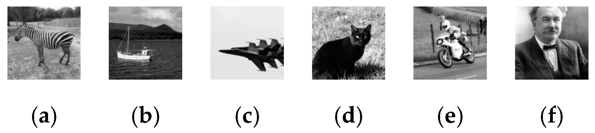 Symmetry 17 00098 g003