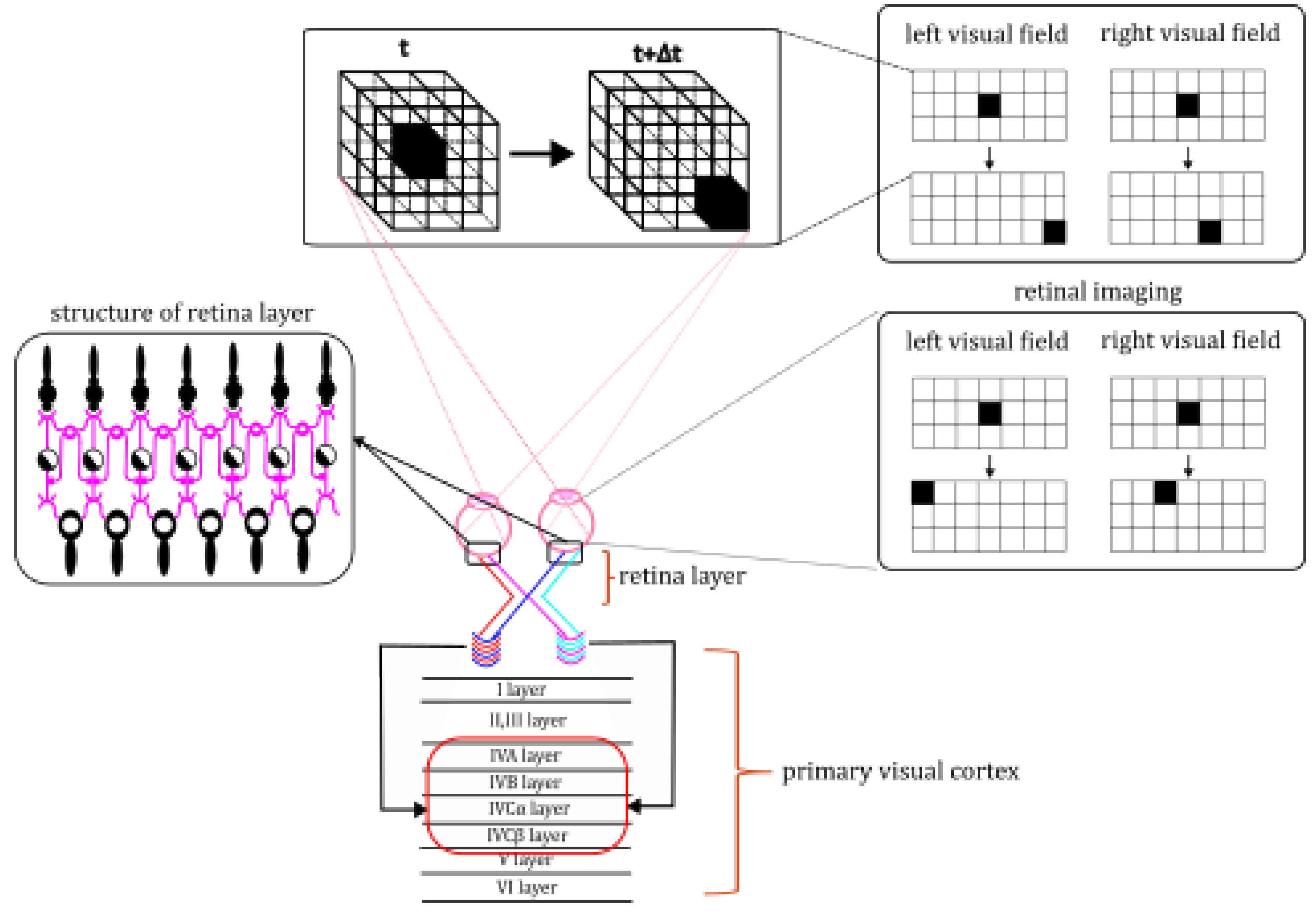 Symmetry 17 00162 g001