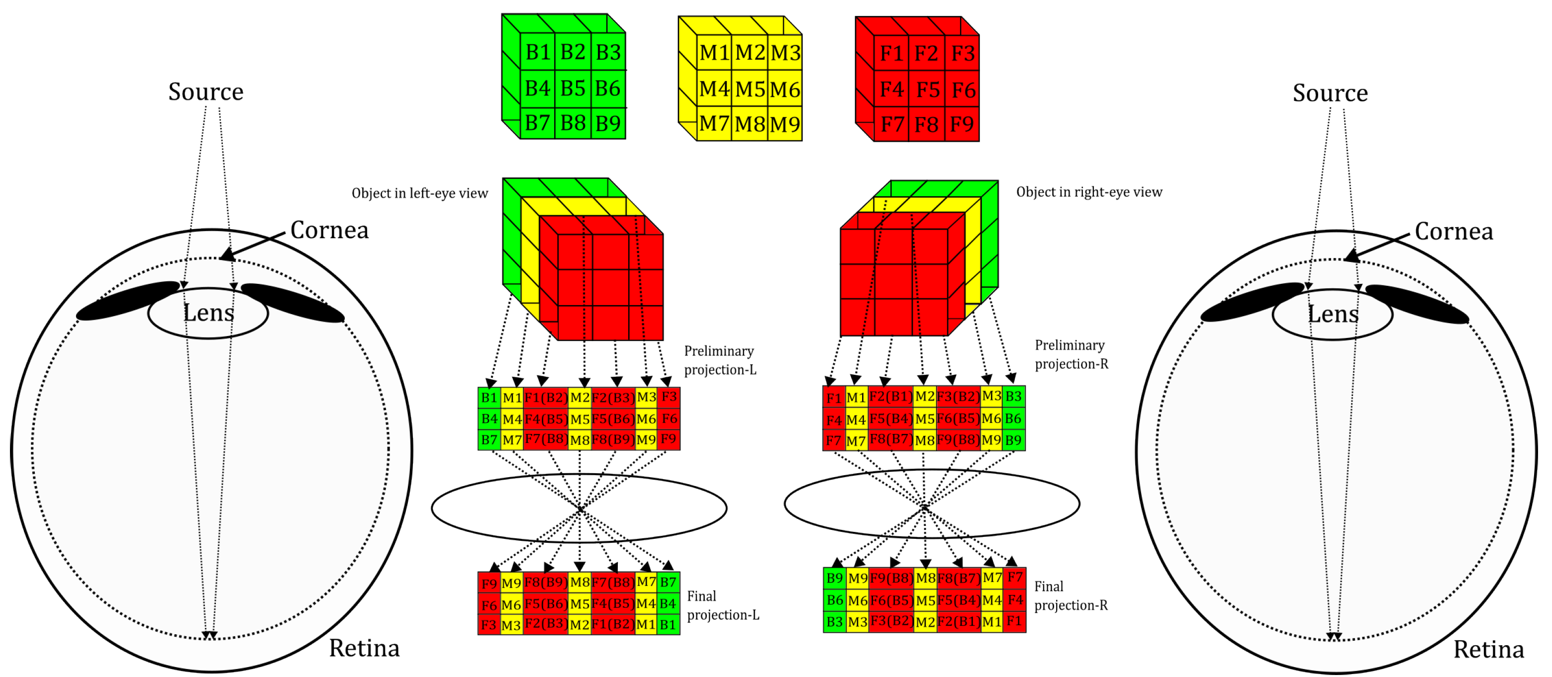 Symmetry 17 00162 g002