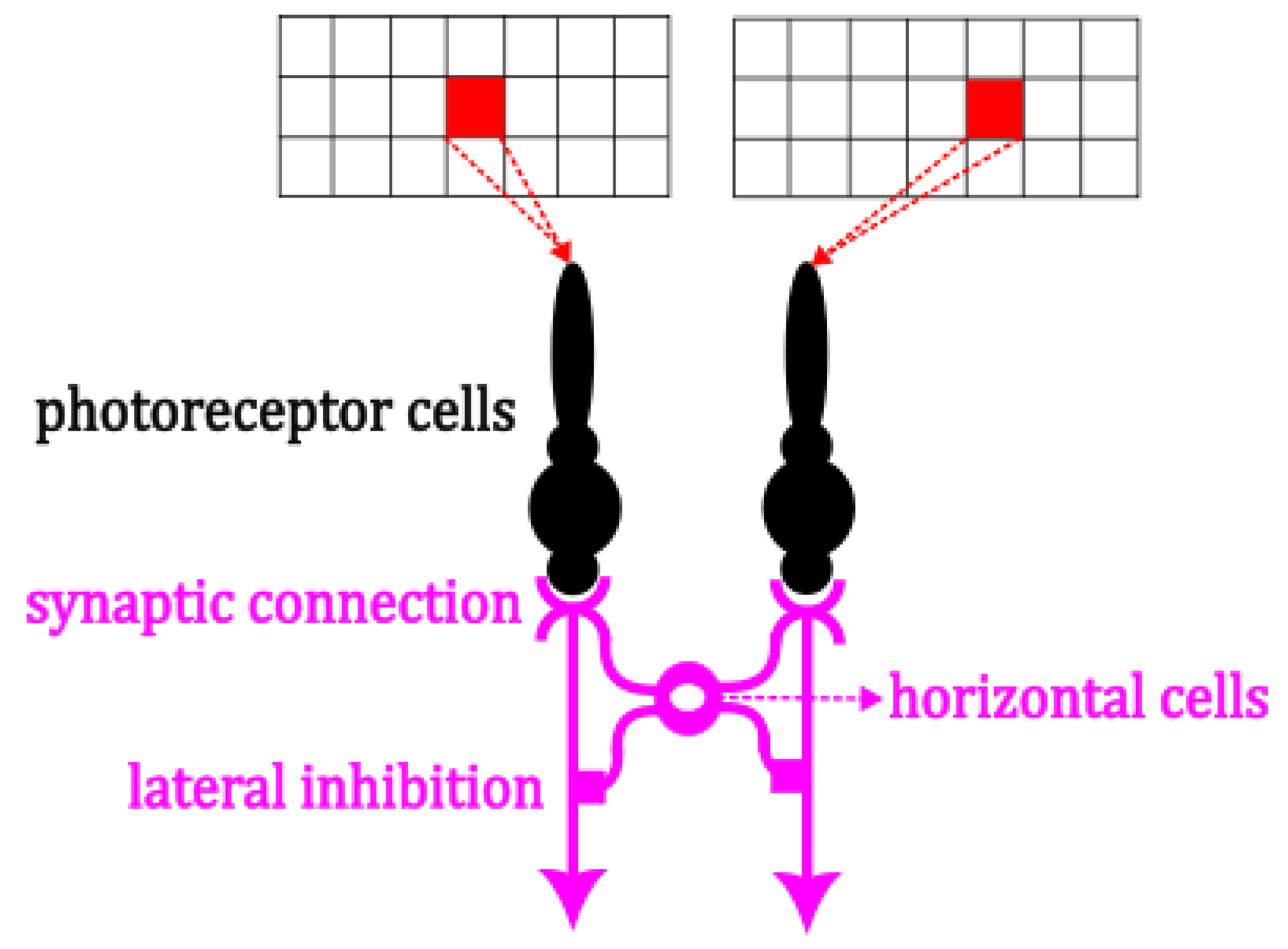 Symmetry 17 00162 g004