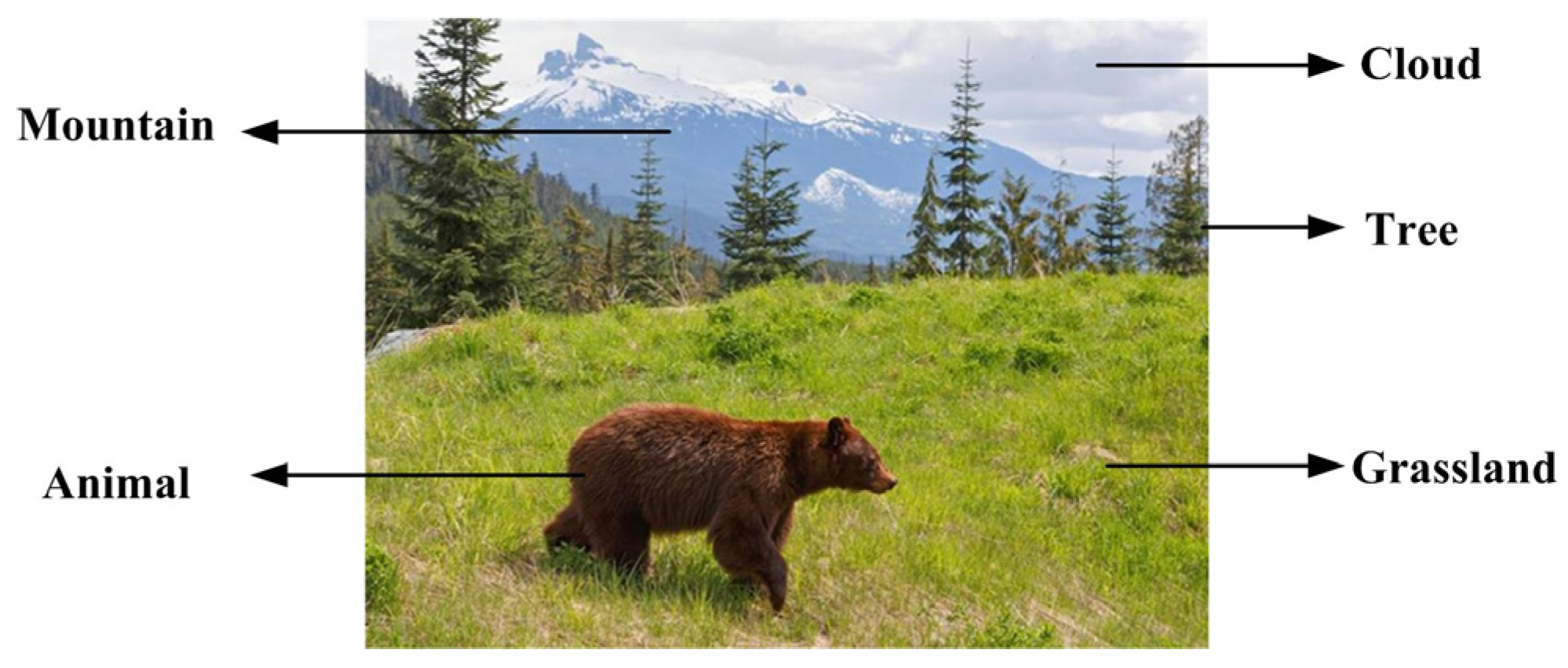 Symmetry 17 00182 g002