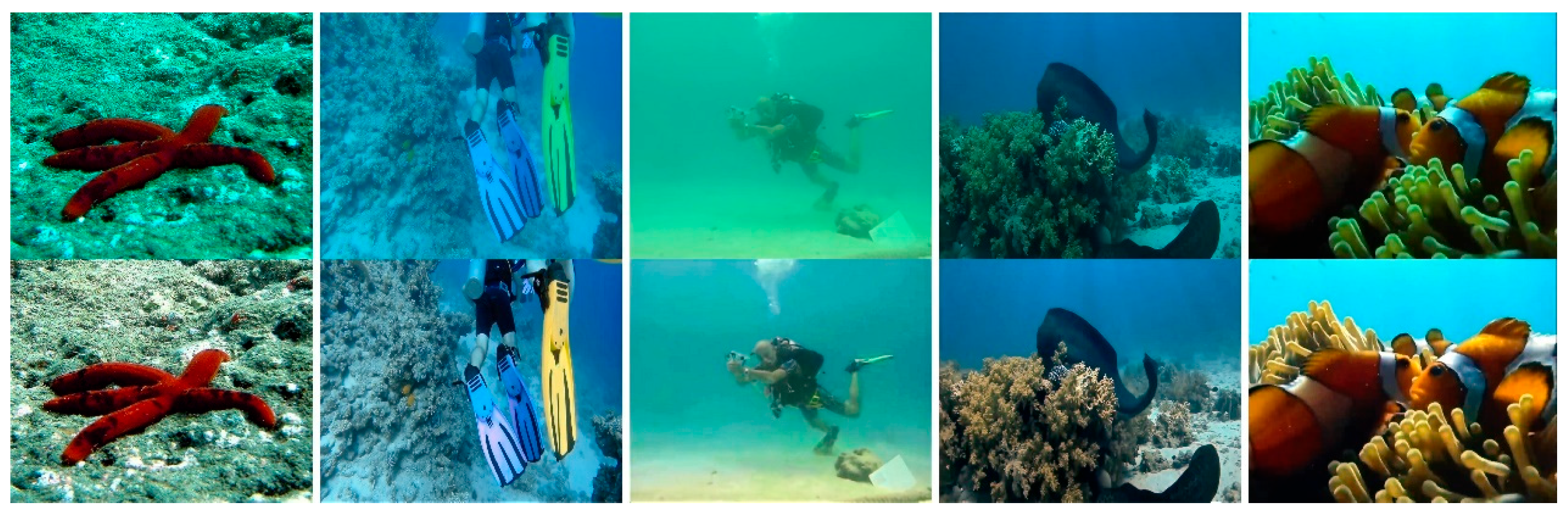 Symmetry 17 00201 g009