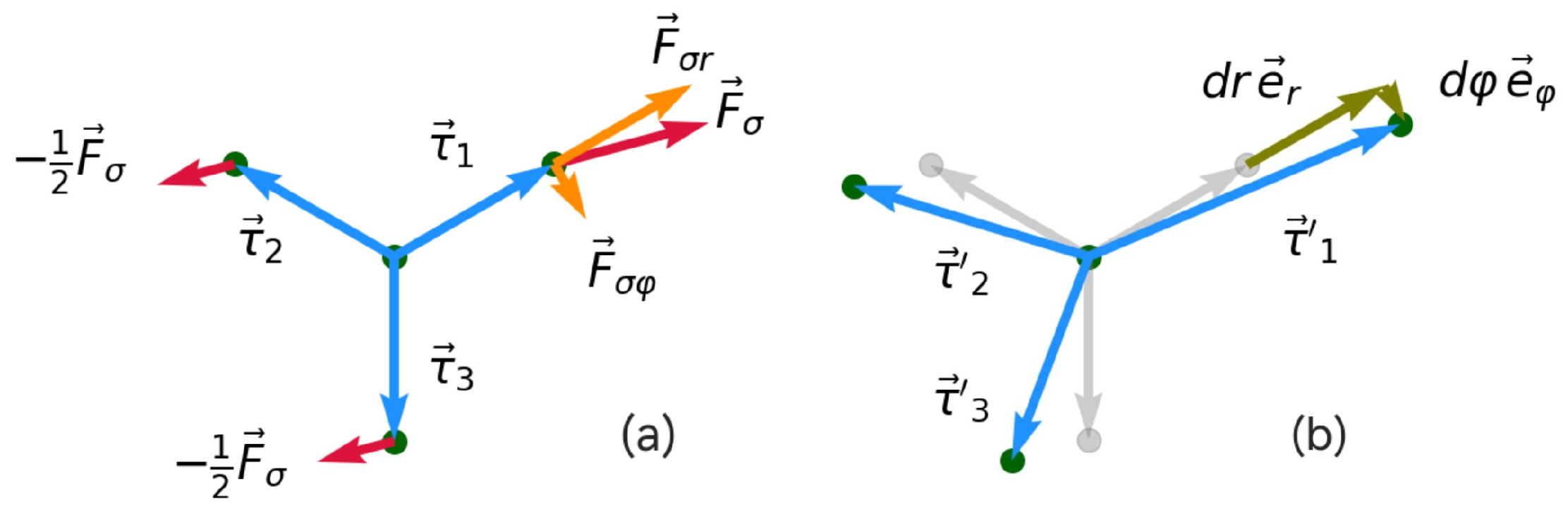 Symmetry 17 00202 g010