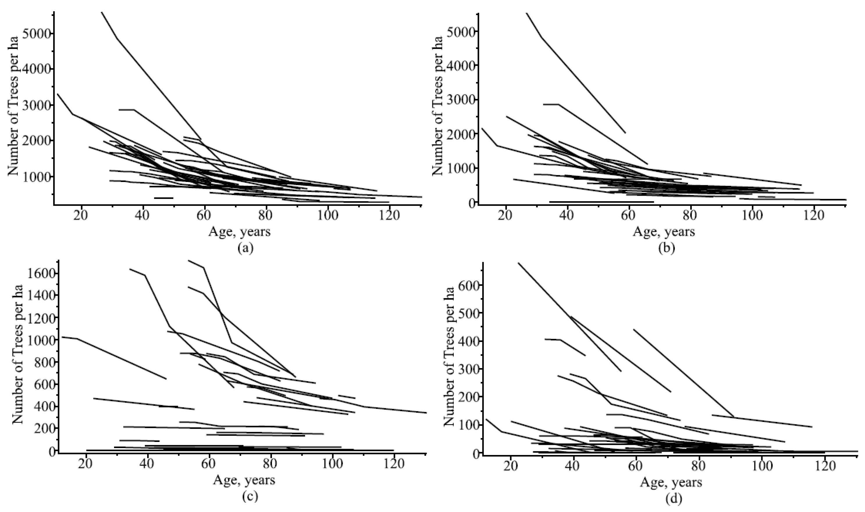 Symmetry 17 00213 g002