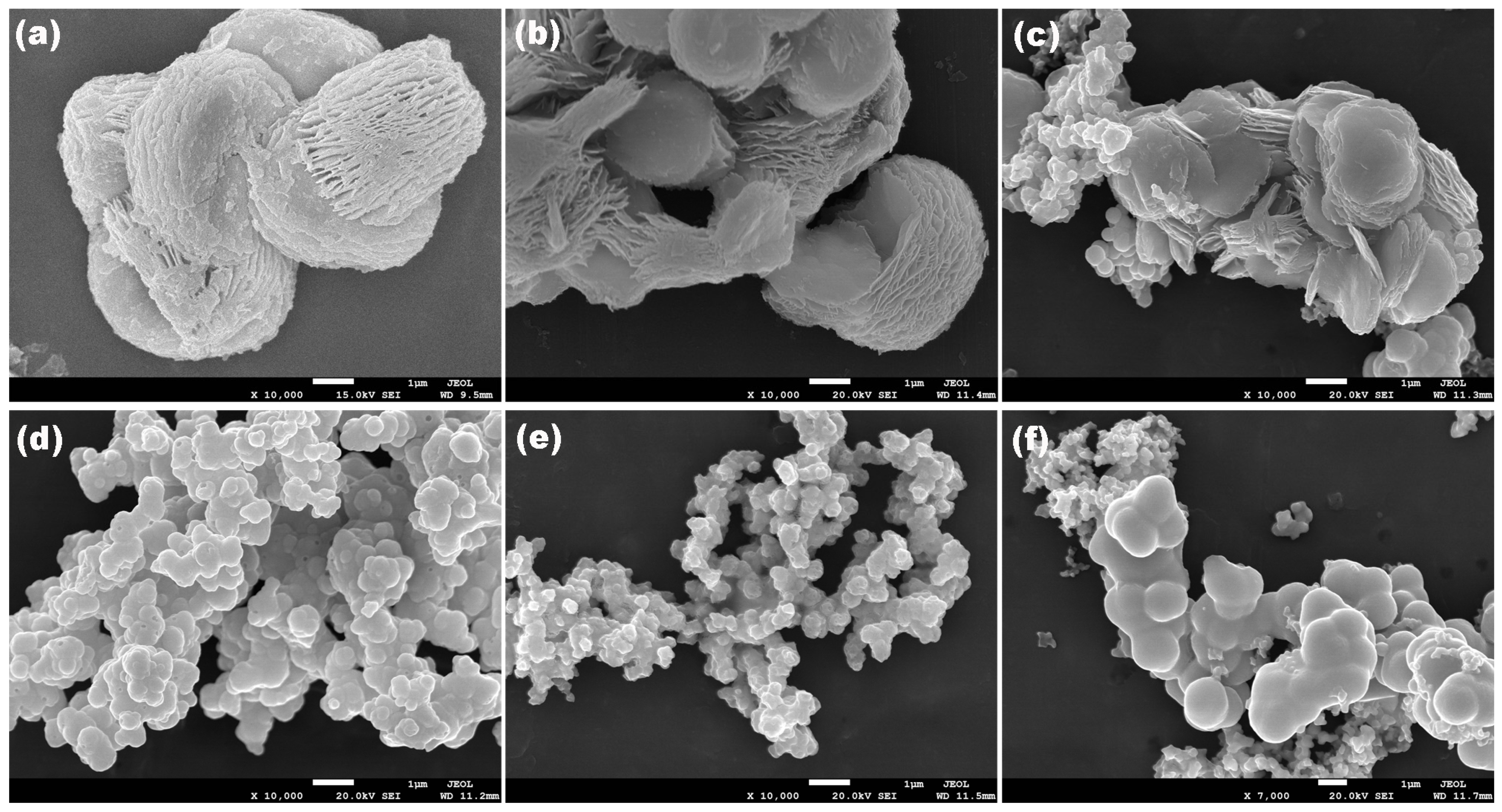 Symmetry 17 00224 g003