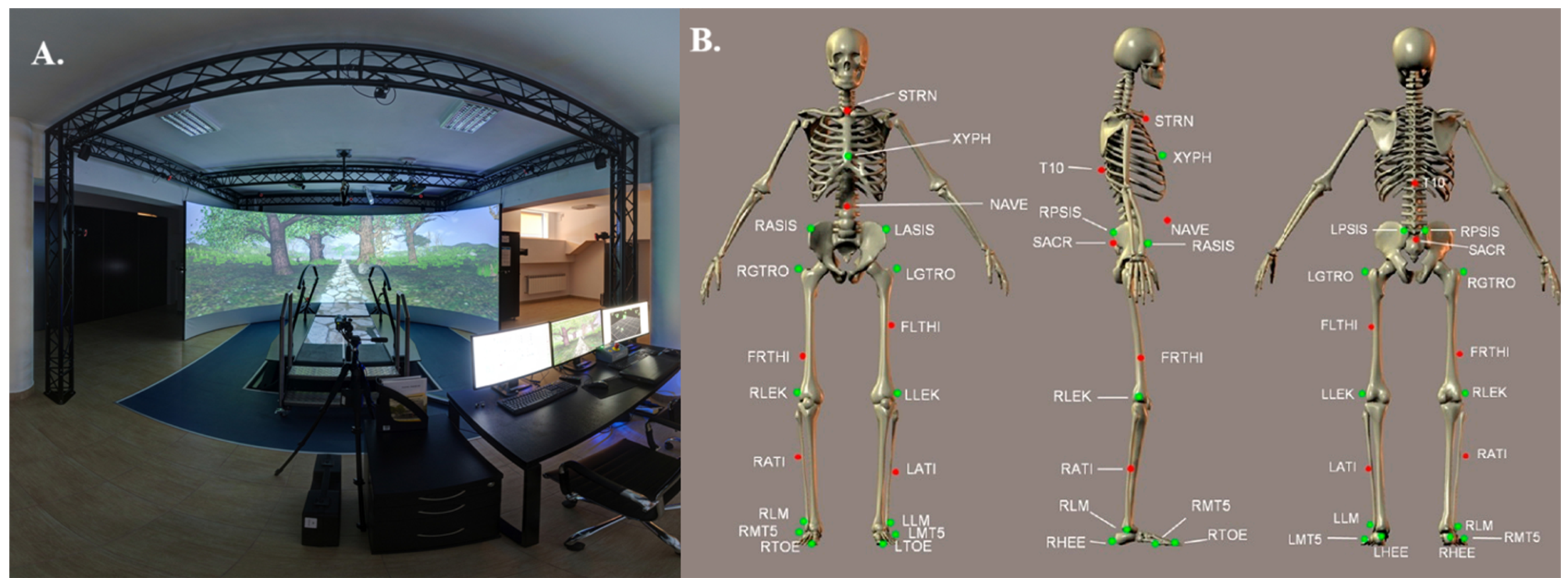 Symmetry 17 00245 g001