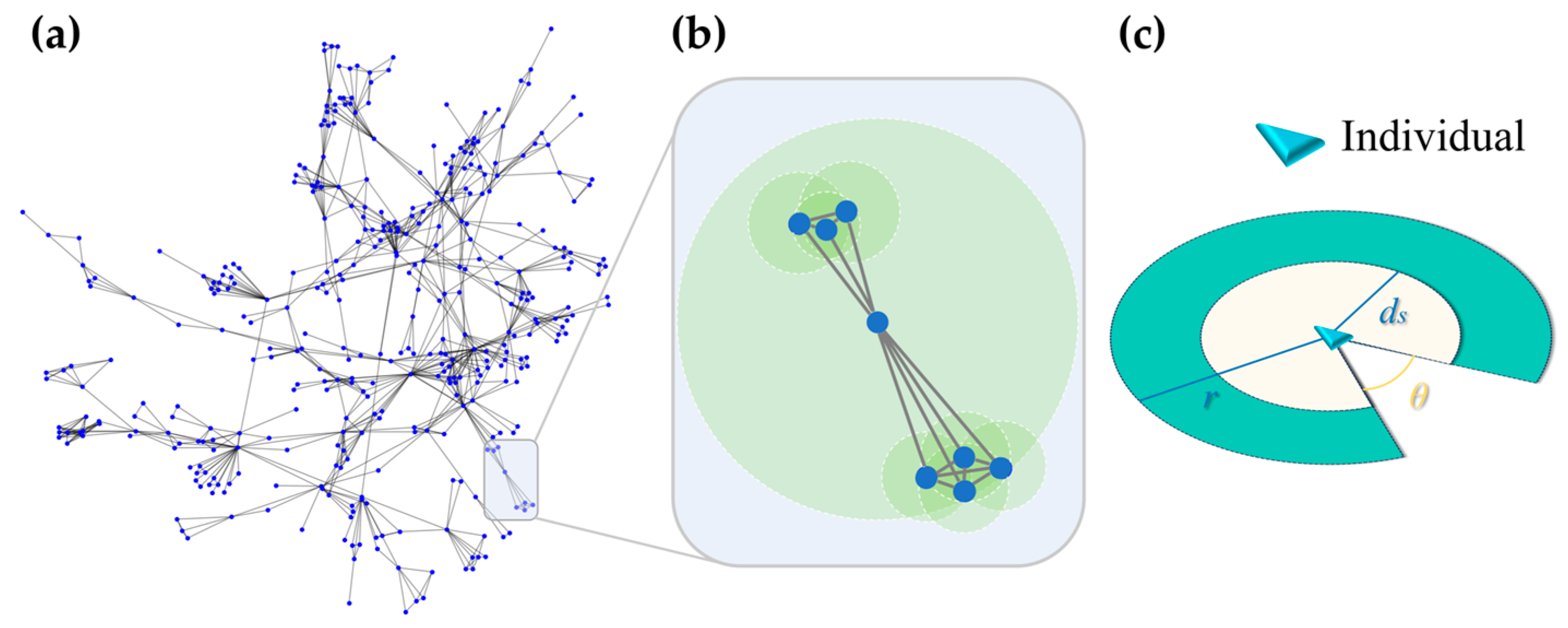 Symmetry 17 00282 g001