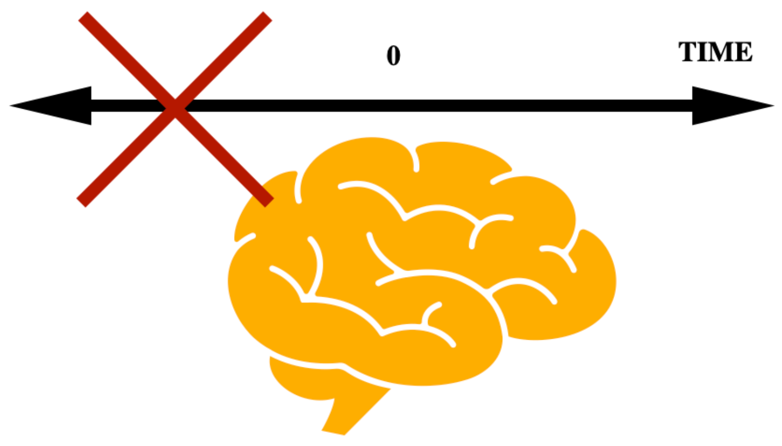 Symmetry 17 00285 g004