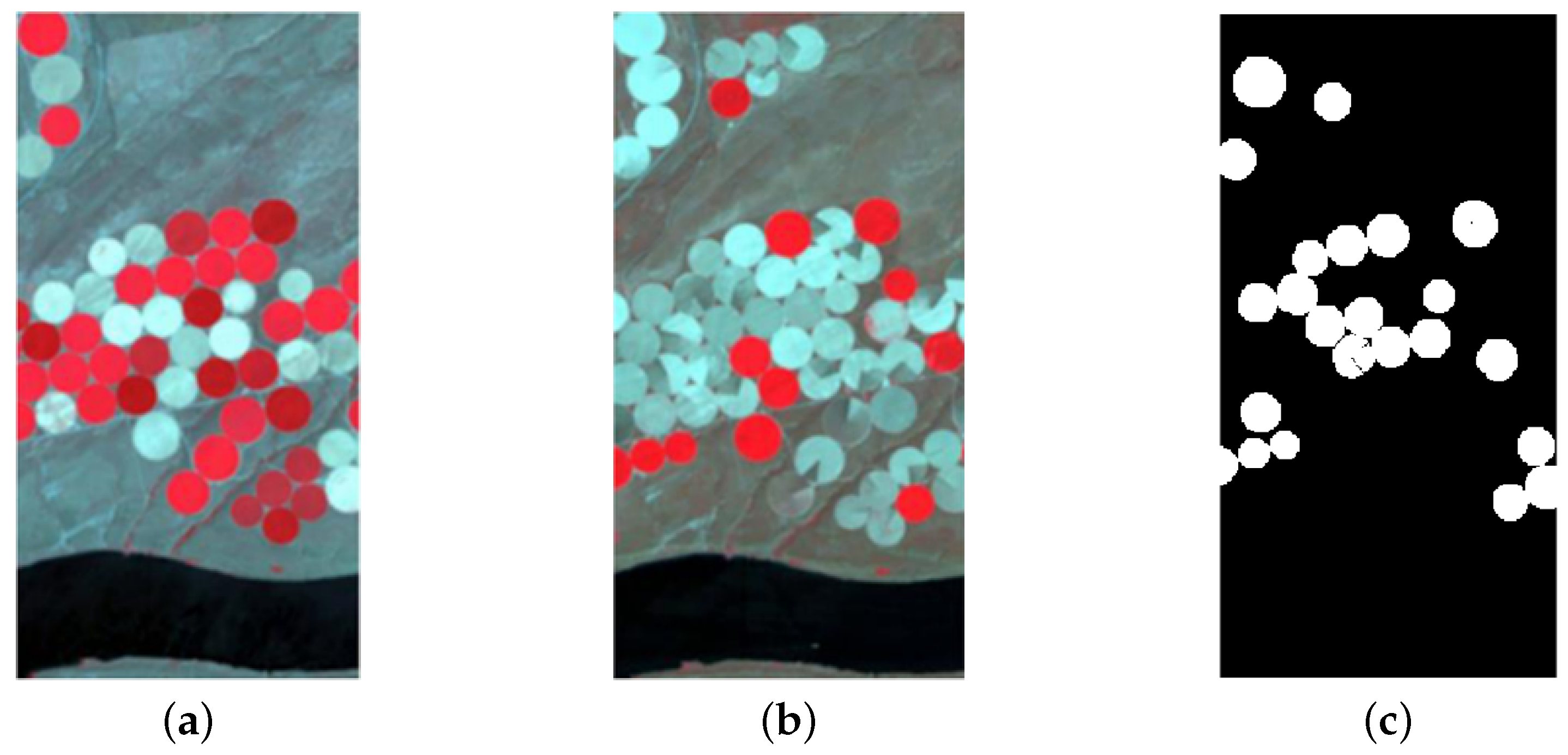Symmetry 17 00304 g004