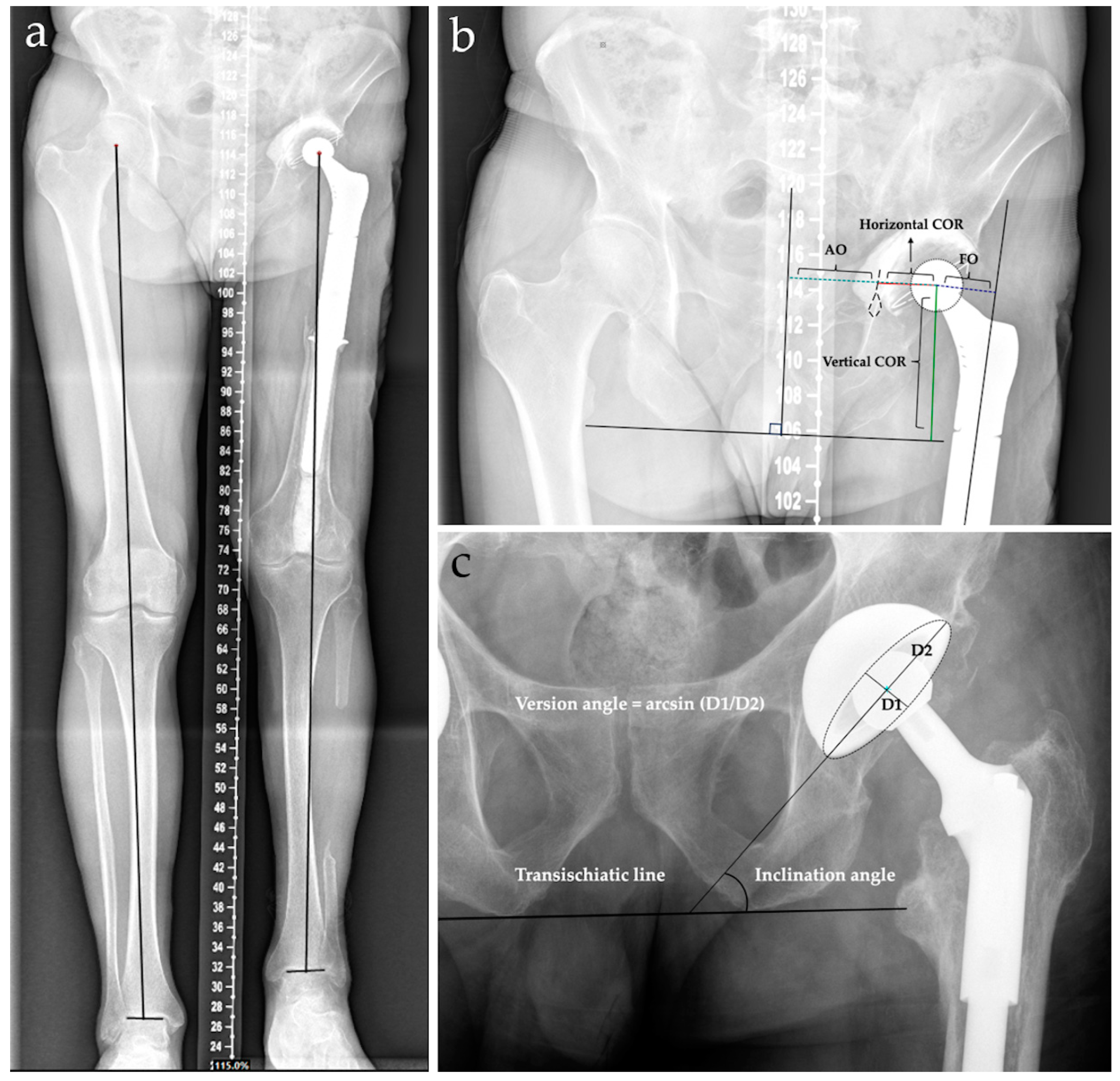 Symmetry 17 00322 g001