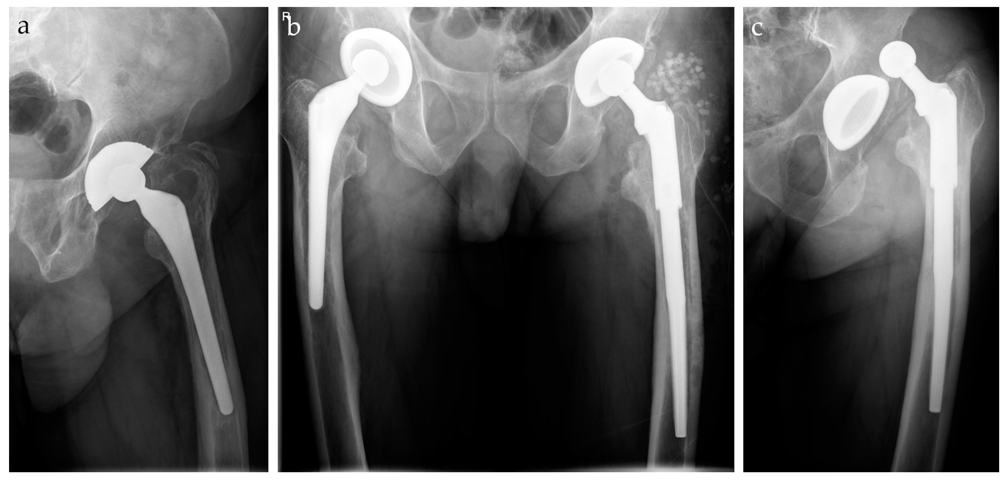 Symmetry 17 00322 g003